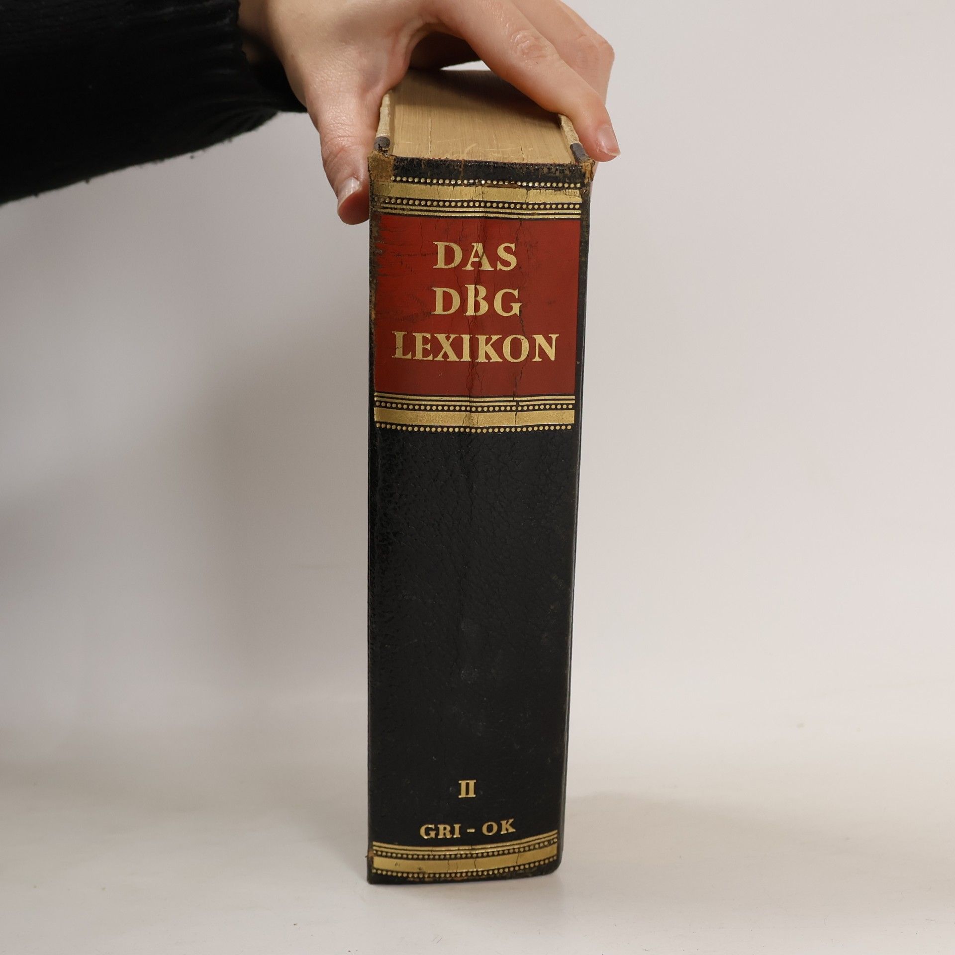 Autorenkollektiv Das DBG Lexikon II. GRI-OK