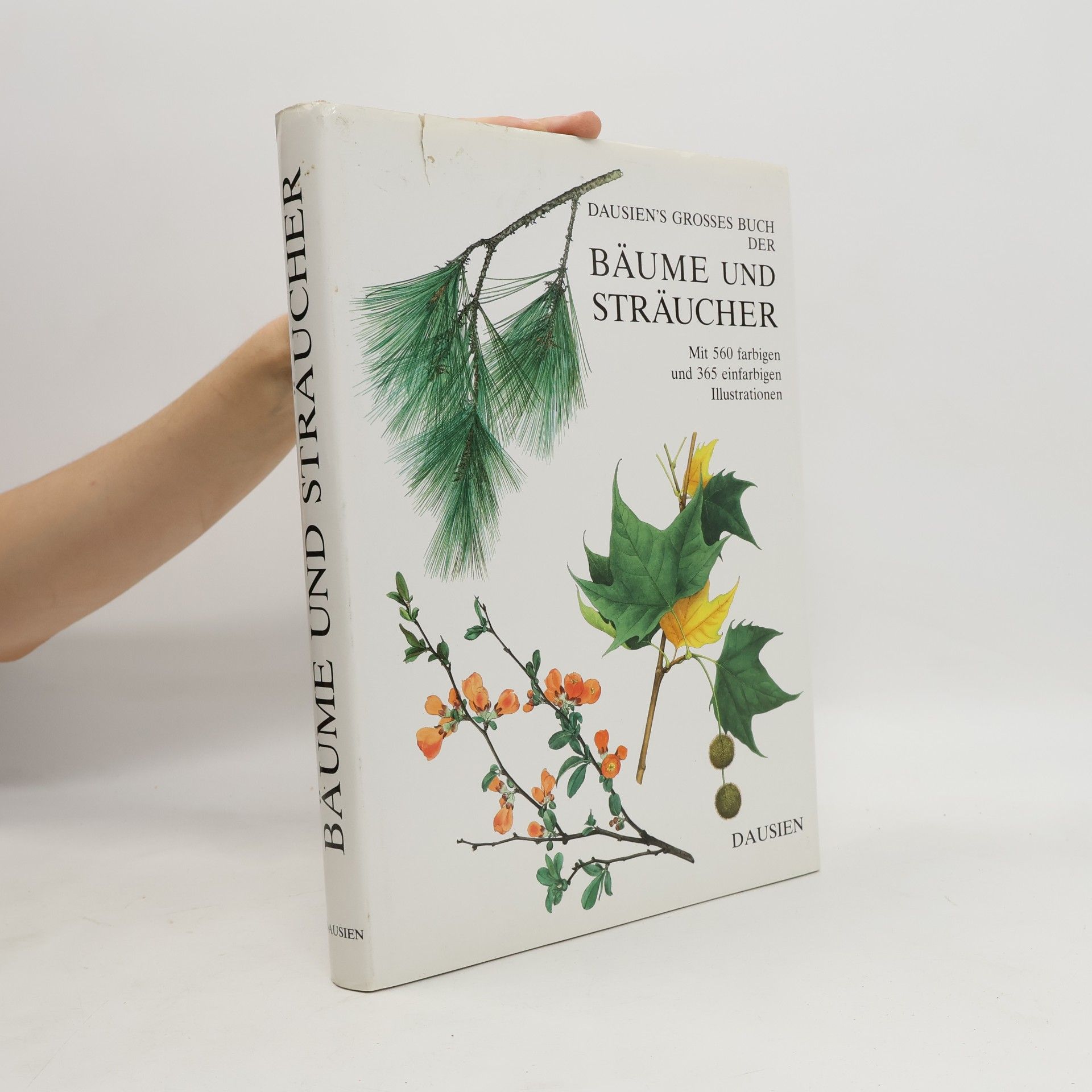 Dausien's grosses Buch der Bäume und Sträucher
