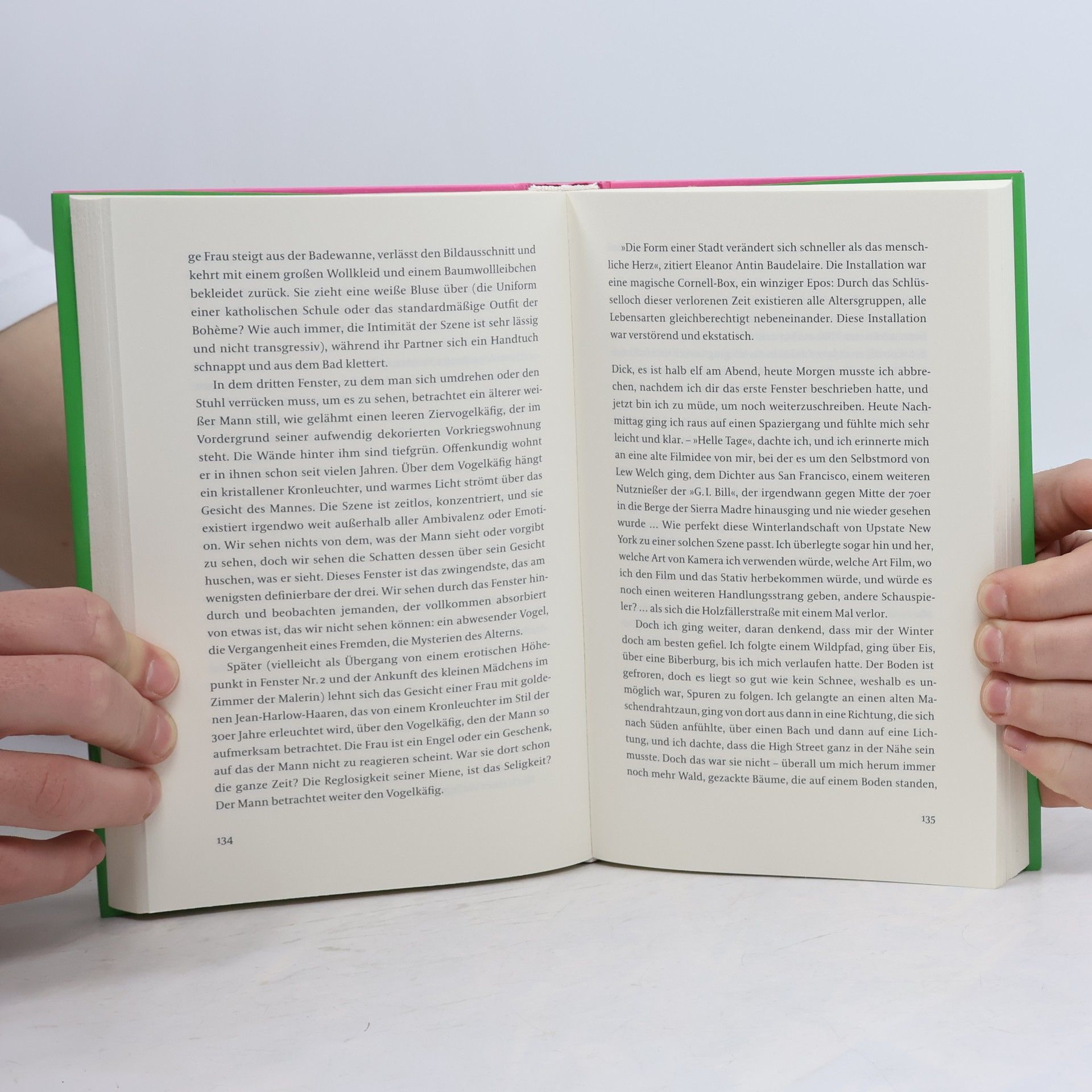 Chris Kraus I love Dick