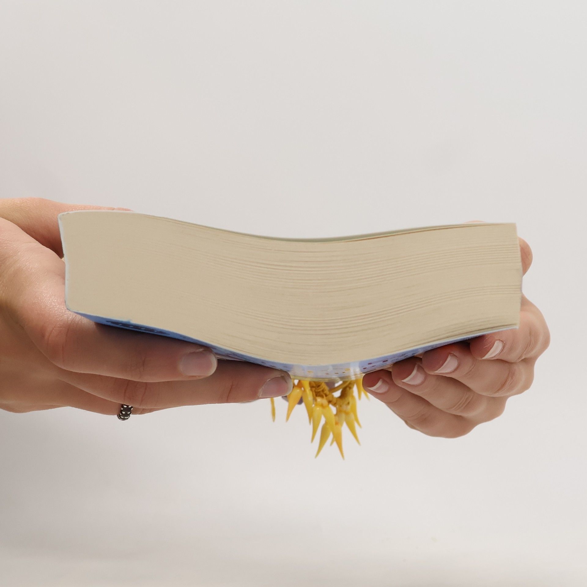 Susan Mallery Spiel, Kuss und Sieg