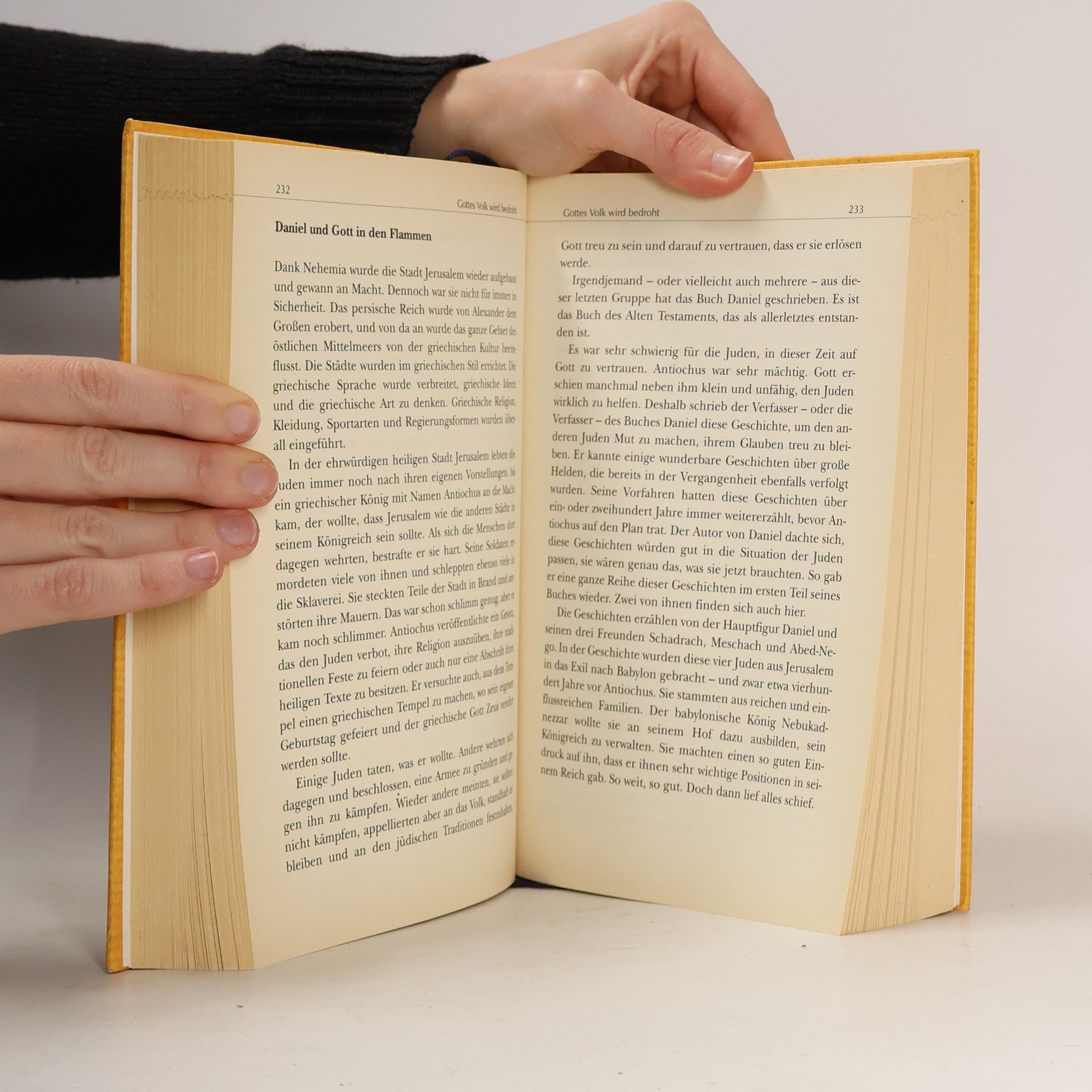 Trevor Dennis Das Buch der Bücher