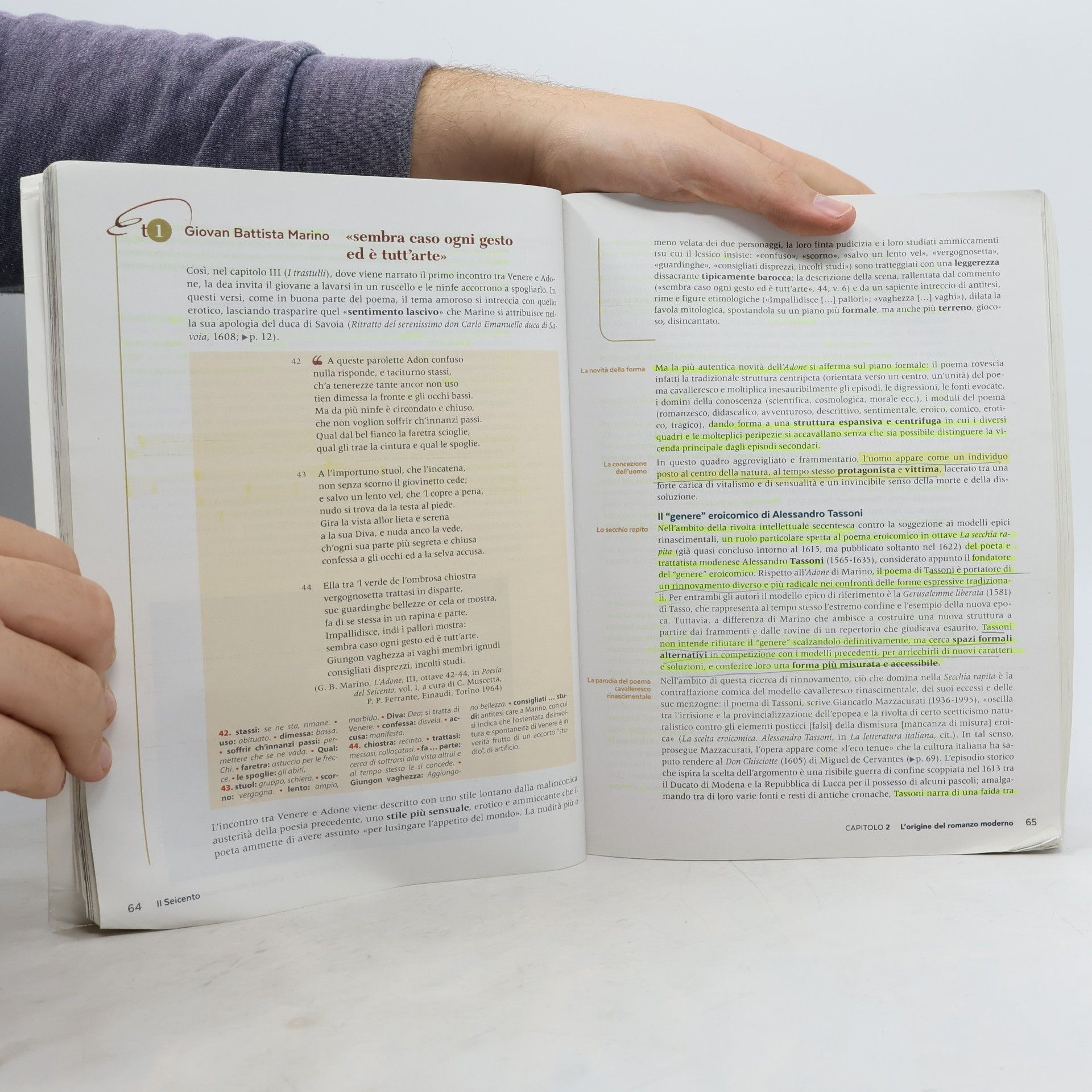 Alessandra Terrile Zefiro. Letteratura italiana 2