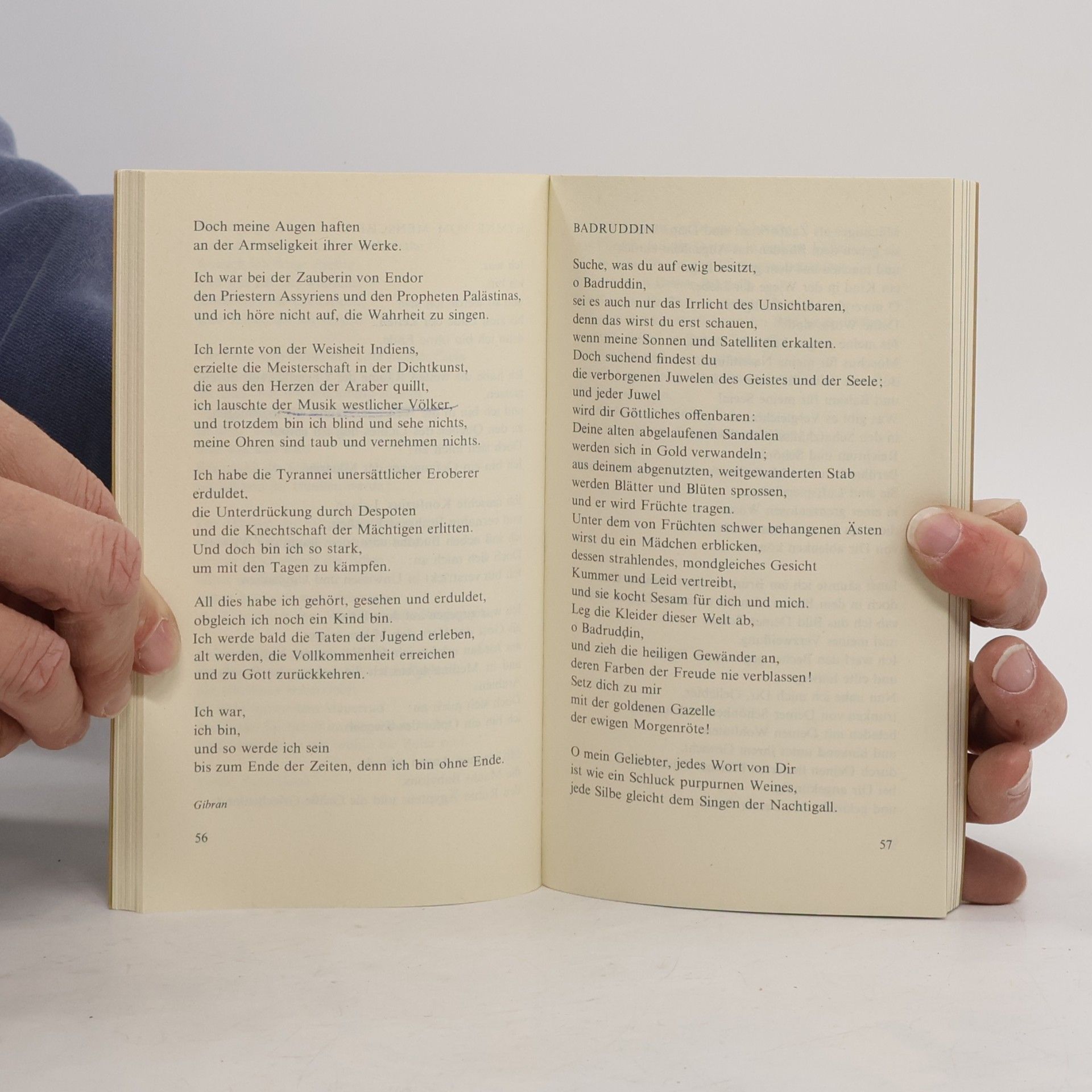 Ursula Assaf-Nowak Schiffe ans andere Ufer