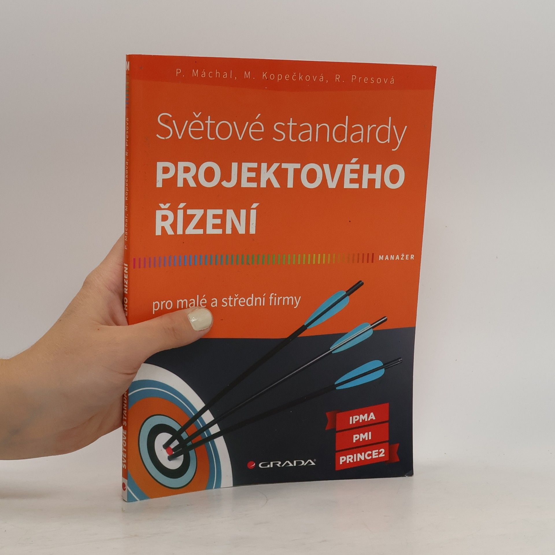 Pavel Máchal Světové standardy projektového řízení