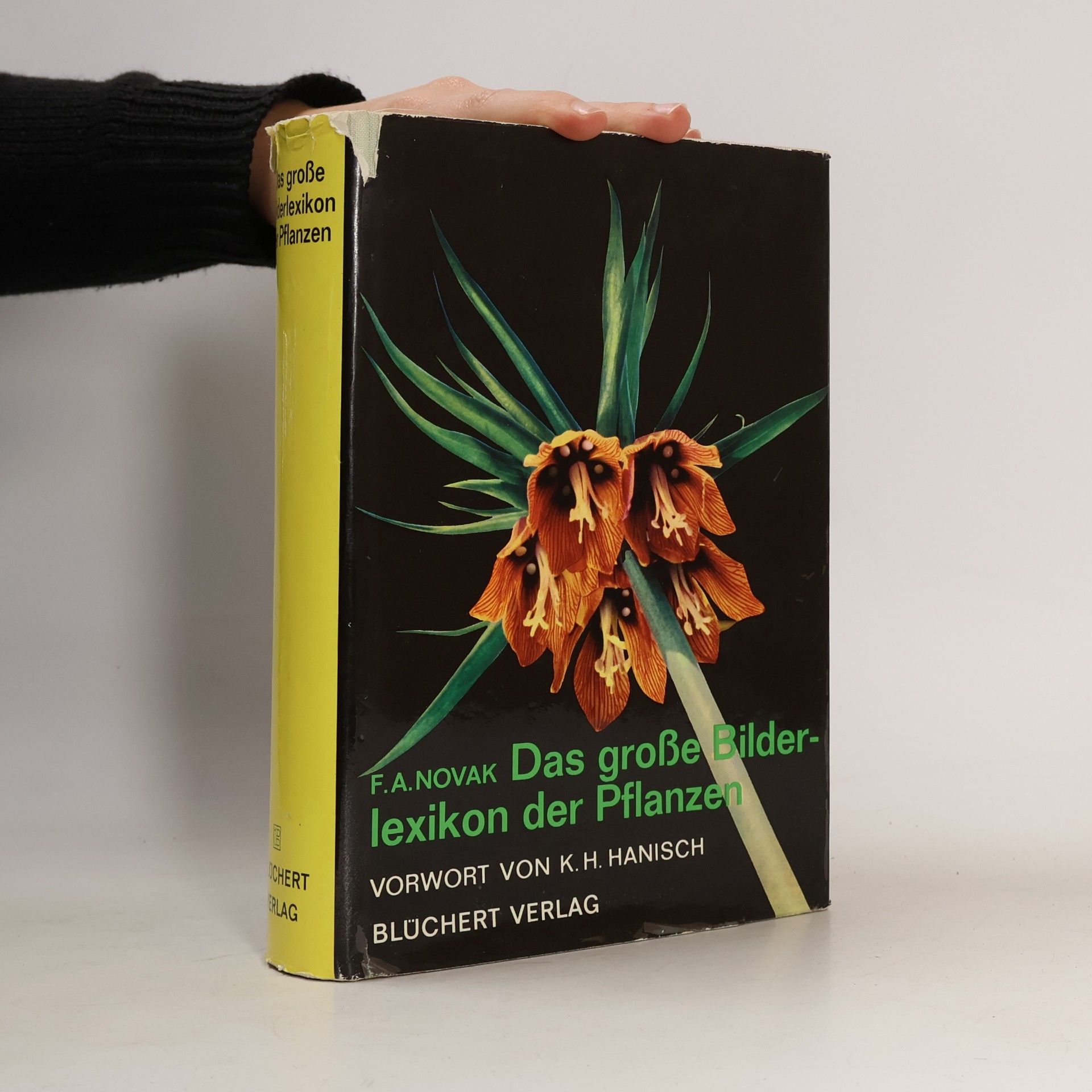 Das große Bilderlexikon der Pflanzen