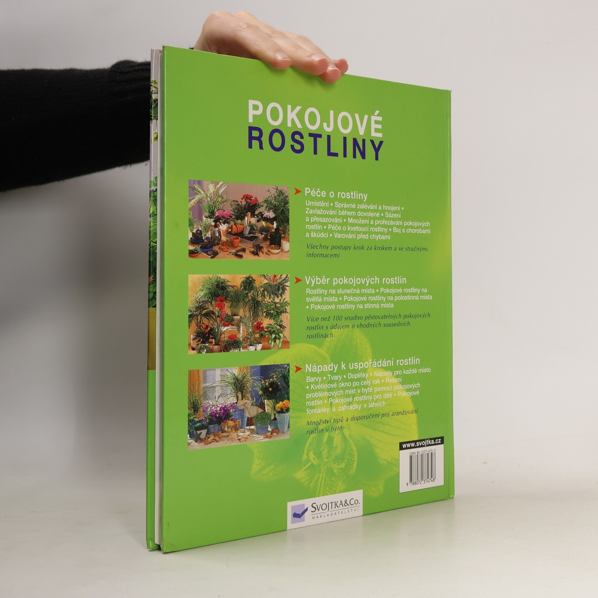 Anja Flehmig Pokojové rostliny