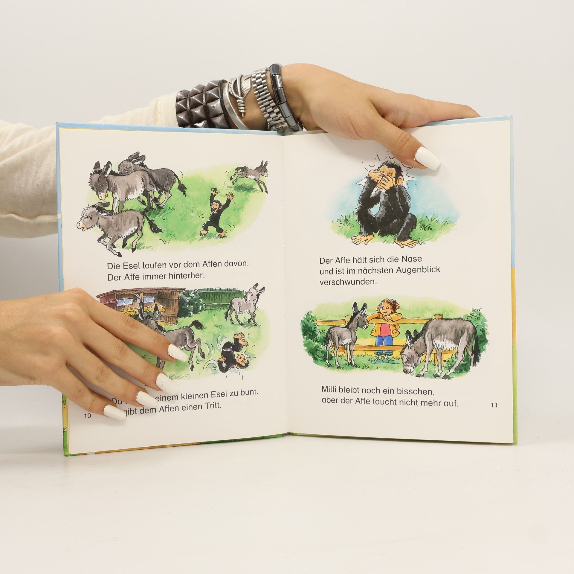 Christina Koenig Kleine Lesetiger-Tiergeschichten