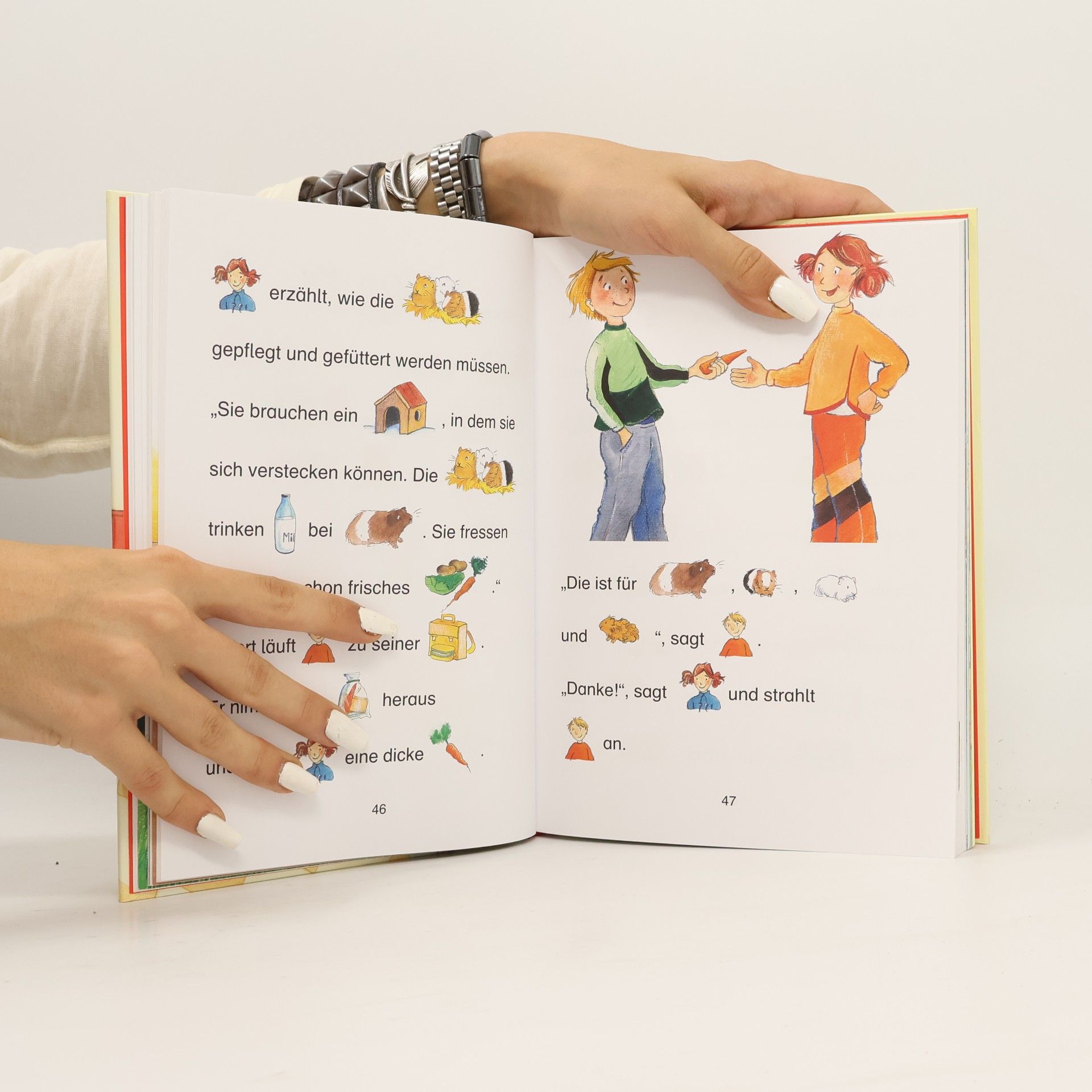 Various authors Die schönsten Schulgeschichten für Erstleser