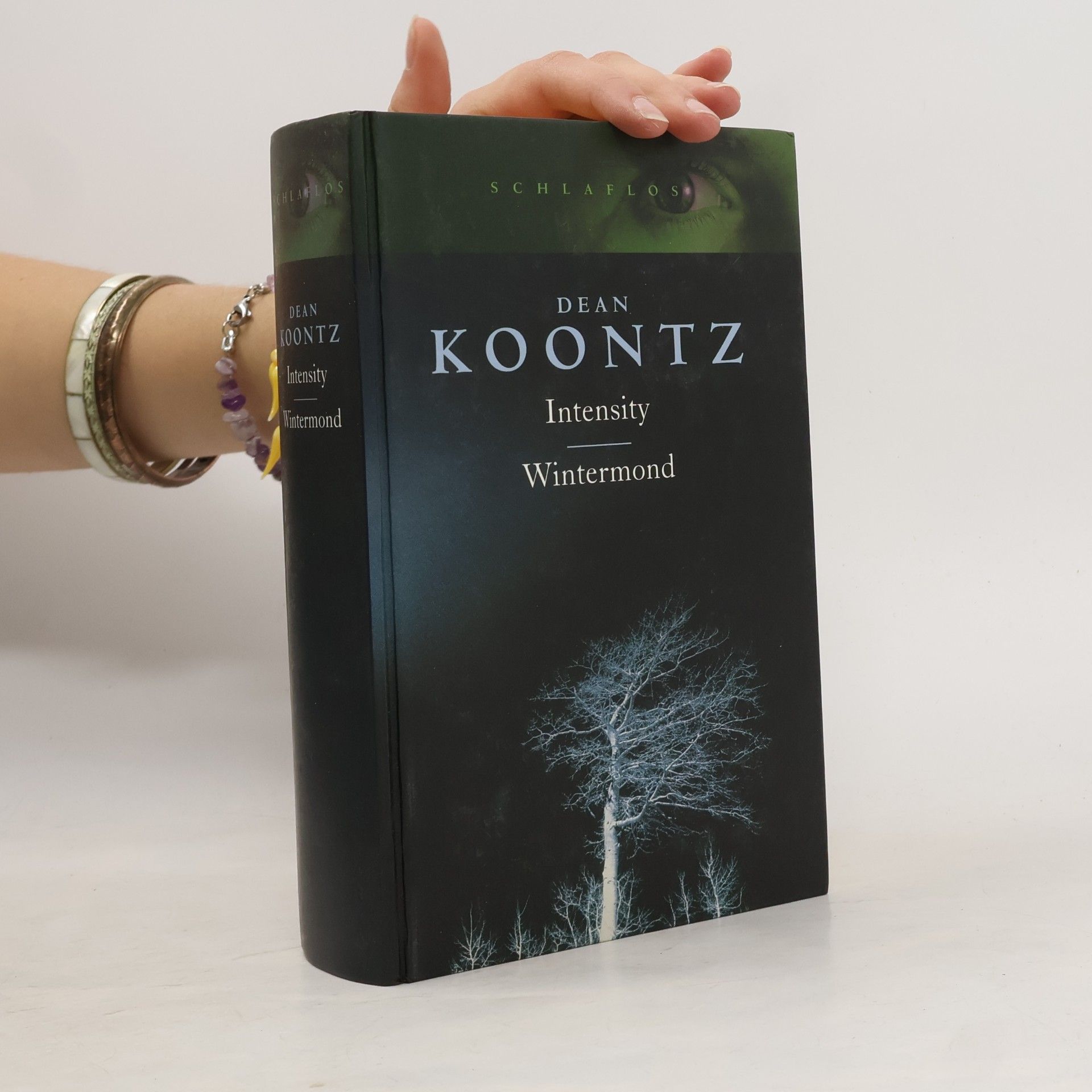 Dean Ray Koontz Intensity. Wintermond