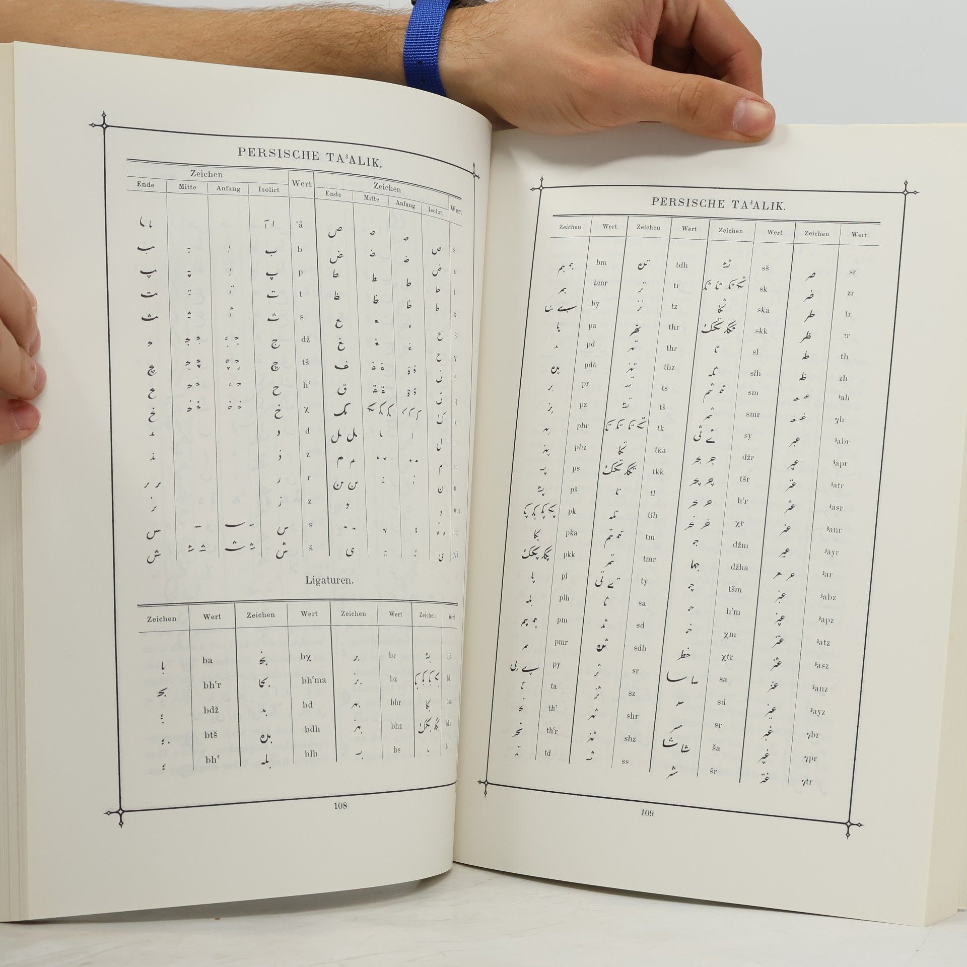 Karl Faulmann Das Buch der Schrift