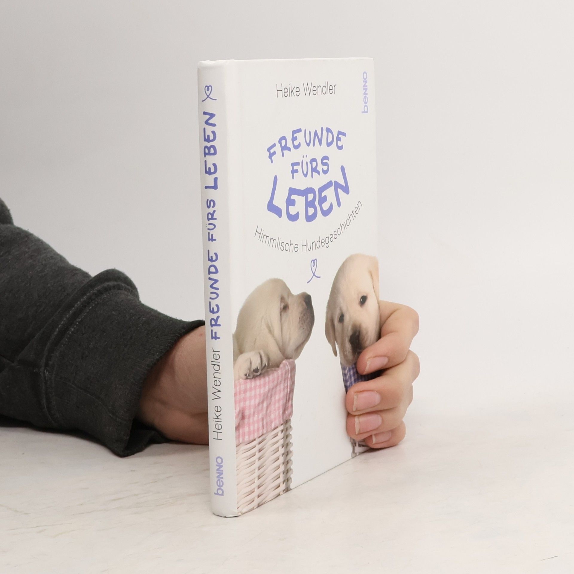 Freunde fürs Leben