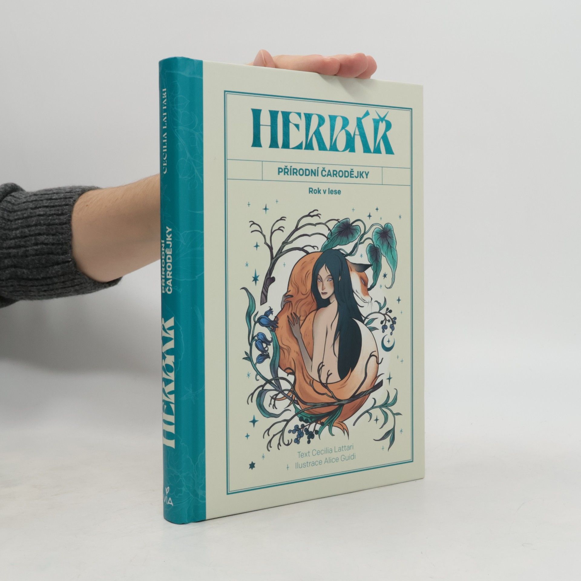 Herbář přírodní čarodějky : rok v lese