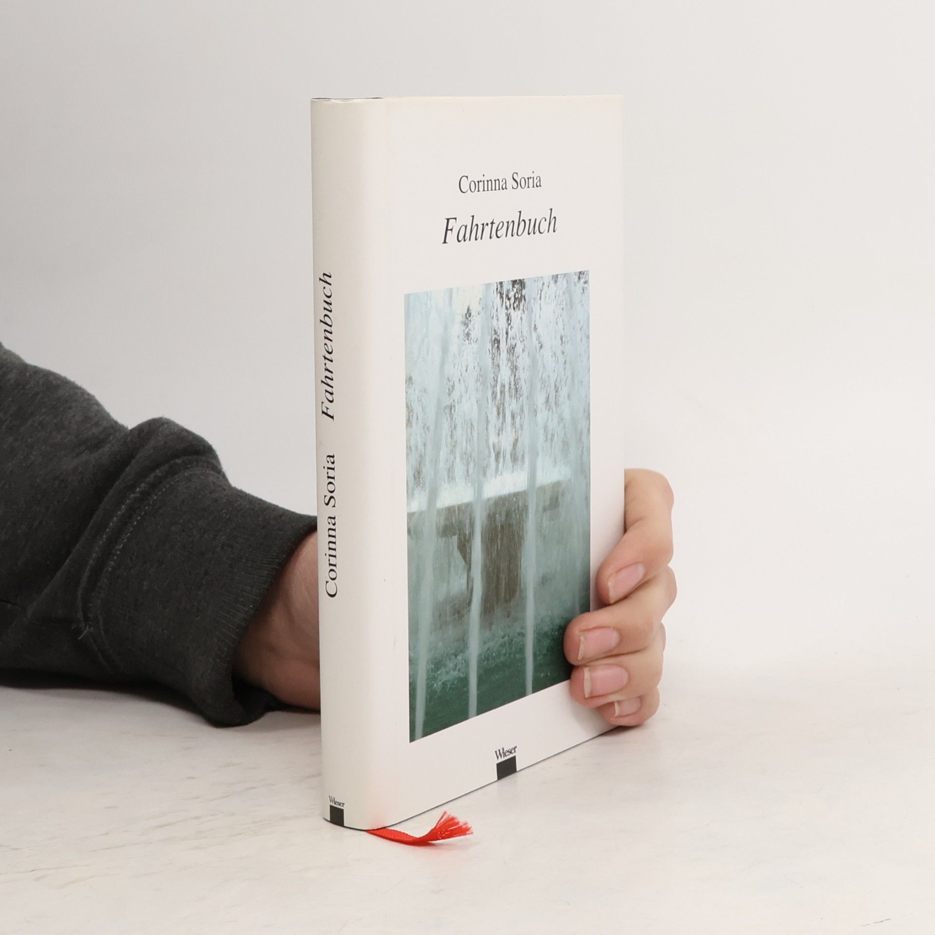 Corinna Soria Fahrtenbuch