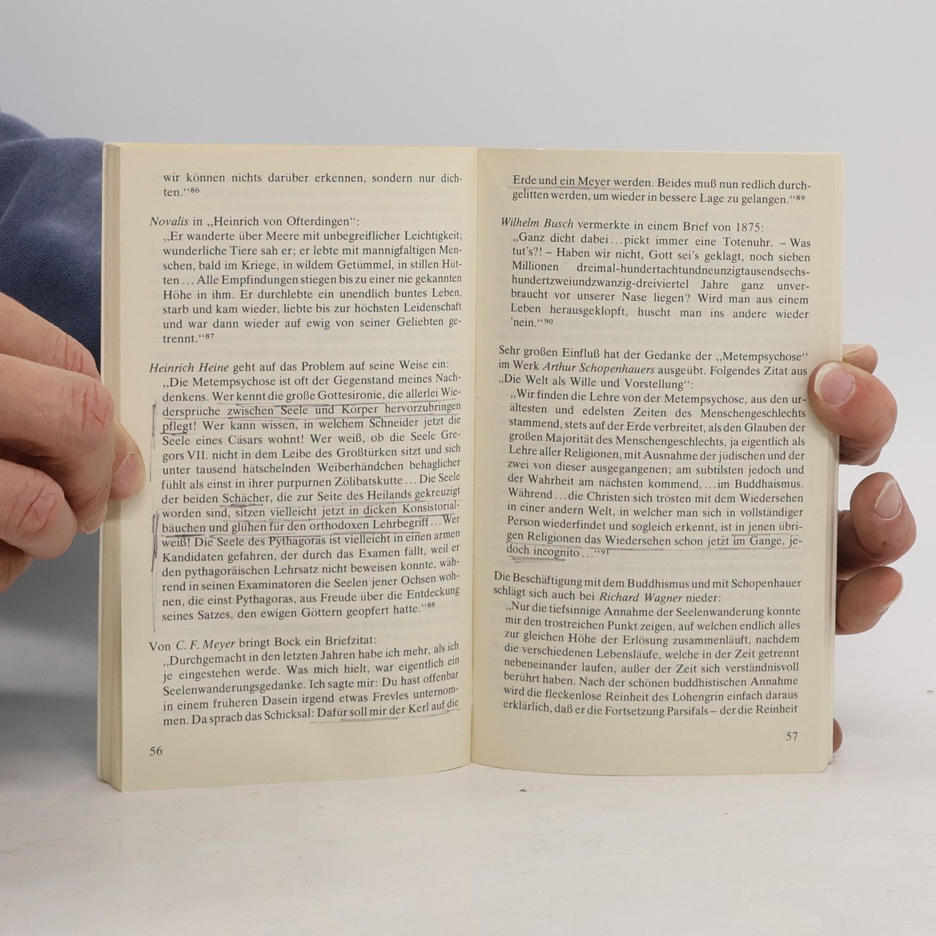 Gerhard Adler Seelenwanderung und Wiedergeburt