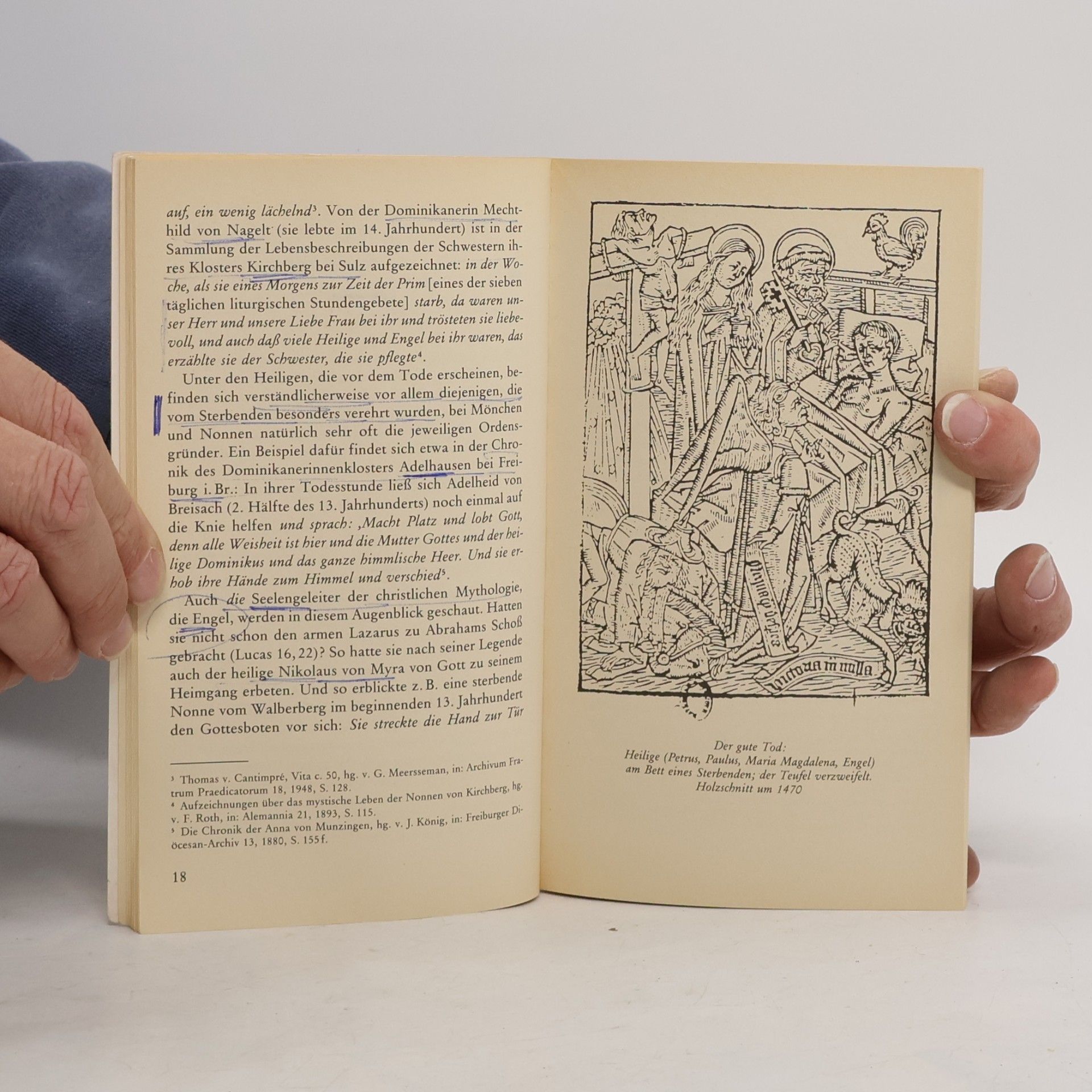 Peter Dinzelbacher An der Schwelle zum Jenseits