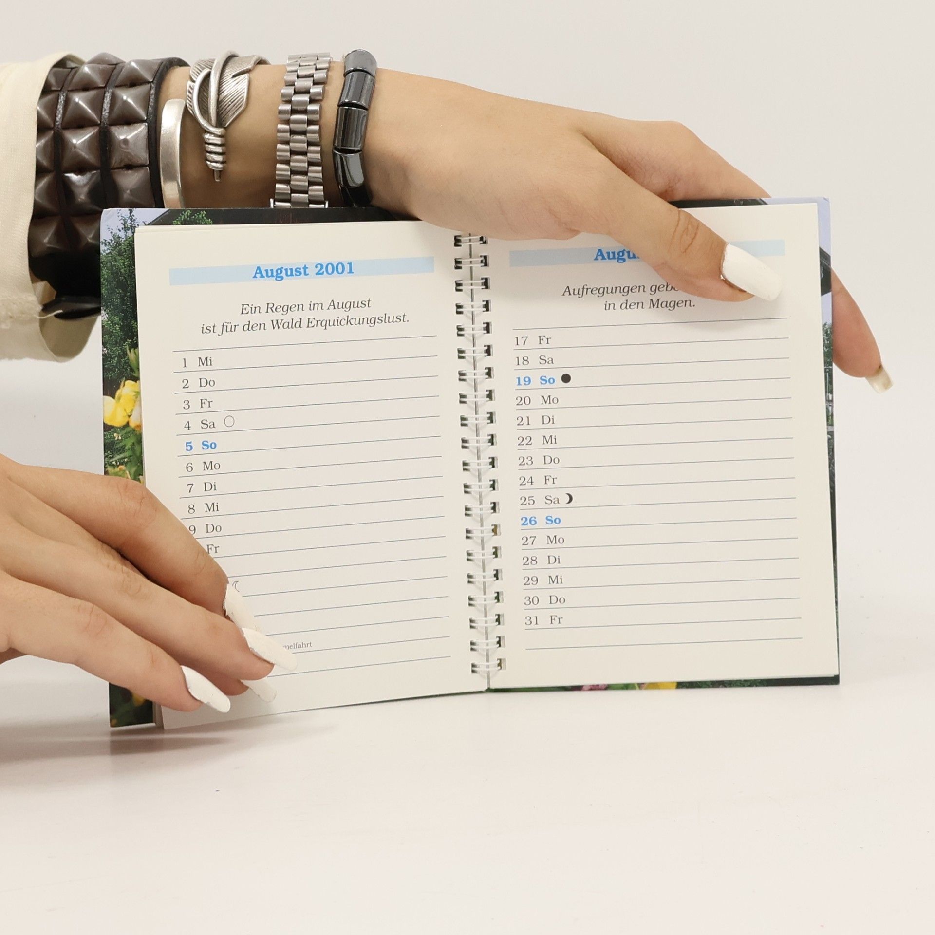 Kalender, Der Hundertjährige Bauernkalender, Taschenkalender