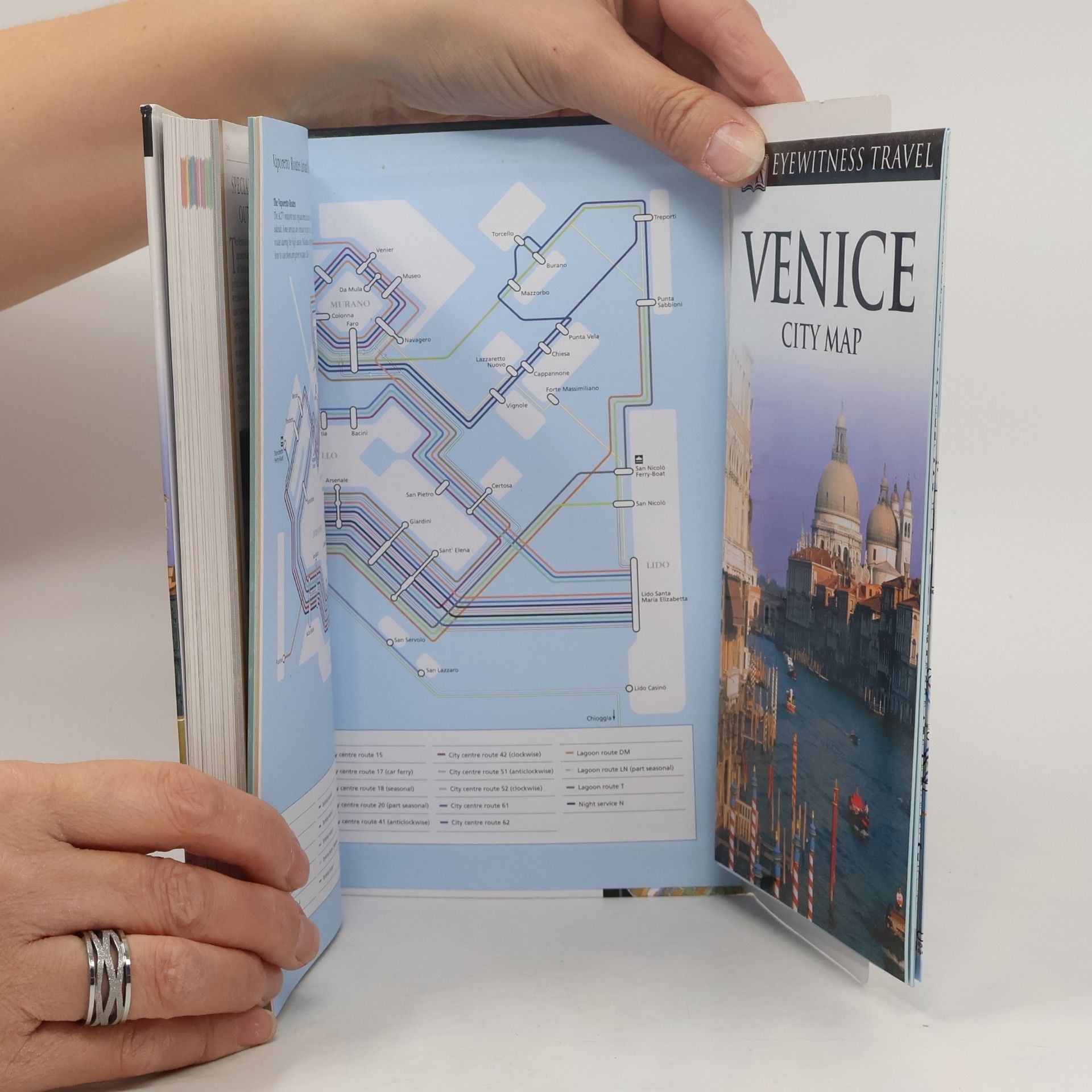 Brenda Birmingham Eyewitness Travel: Venice & the Veneto