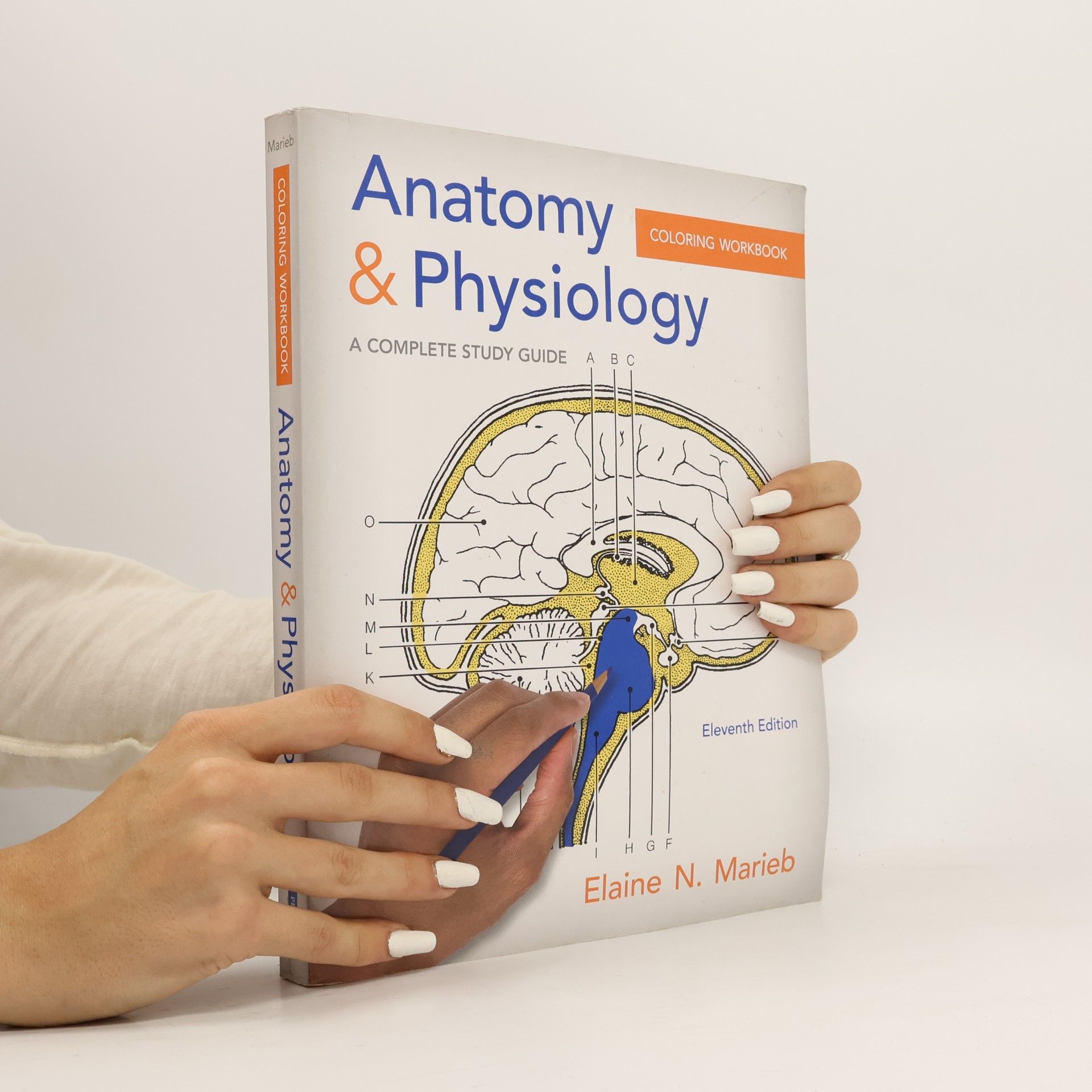 Elaine Nicpon Marieb Anatomy & Physiology Coloring Workbook