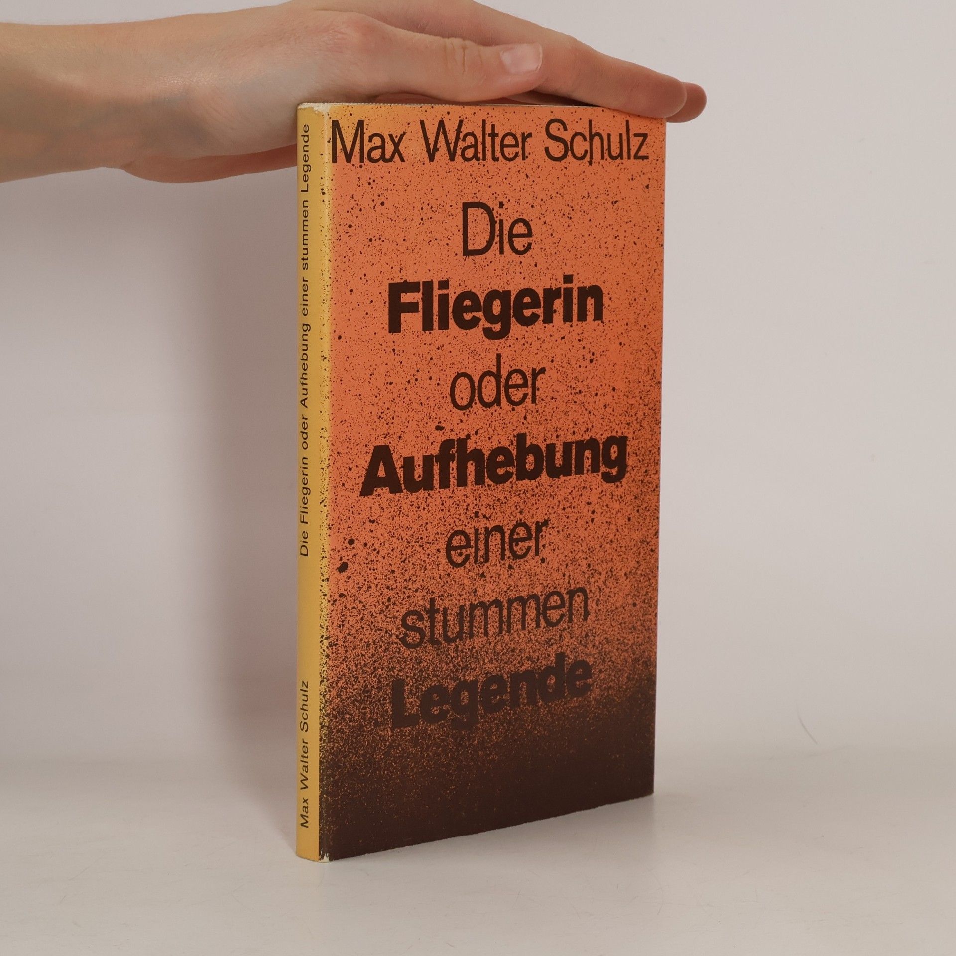 Max Walter Schulz Die Fliegerin oder Aufhebung einer stummen Legende