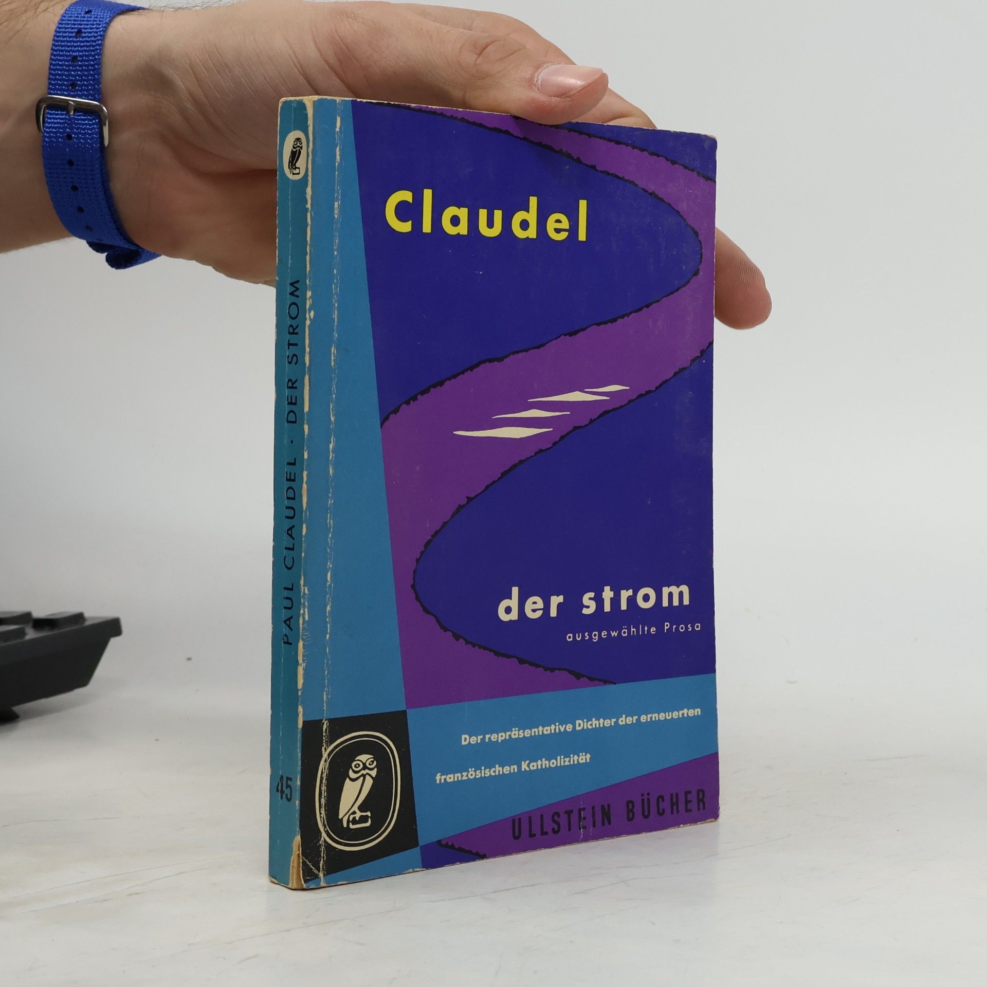 Der Strom