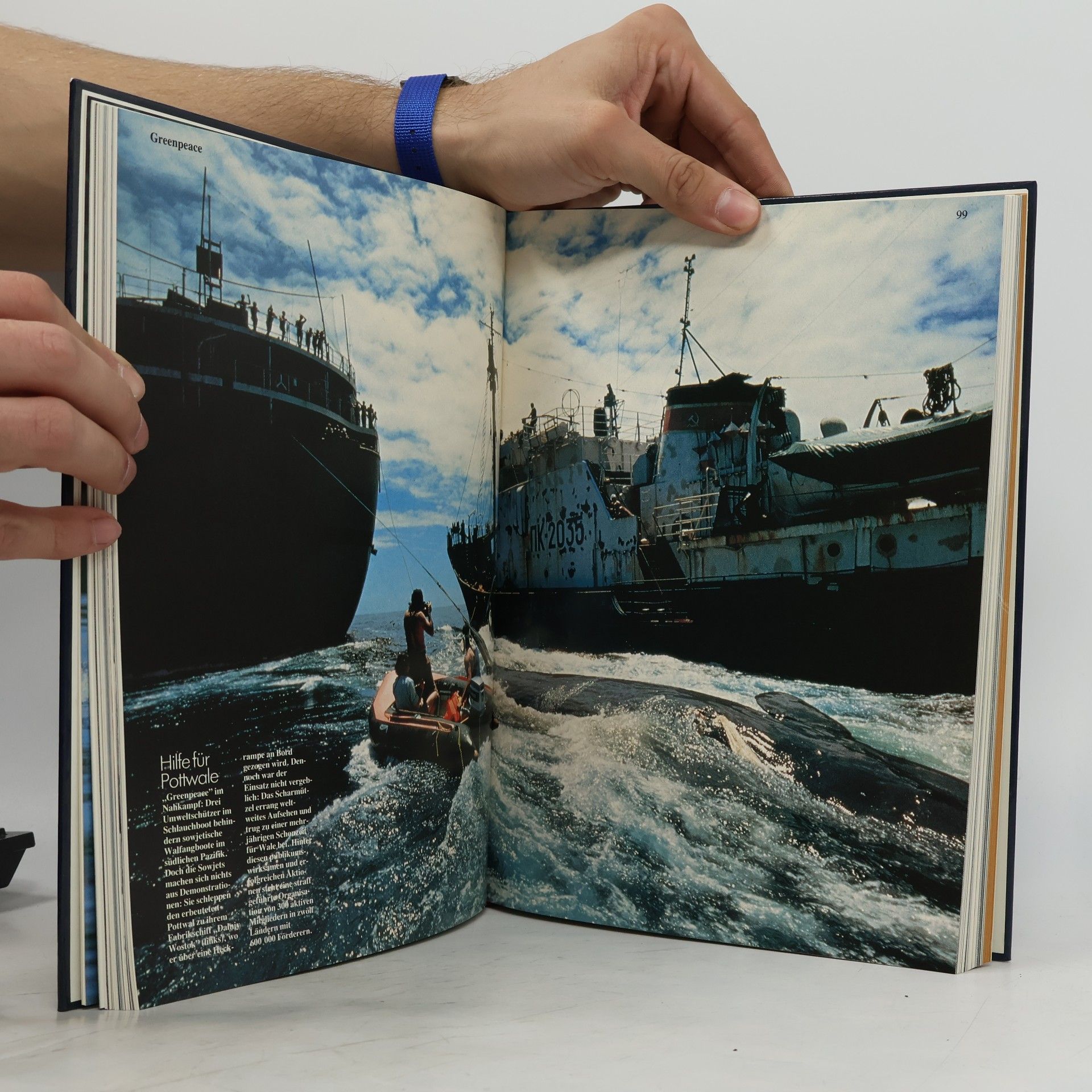 Collectif d'auteurs Das war 1983