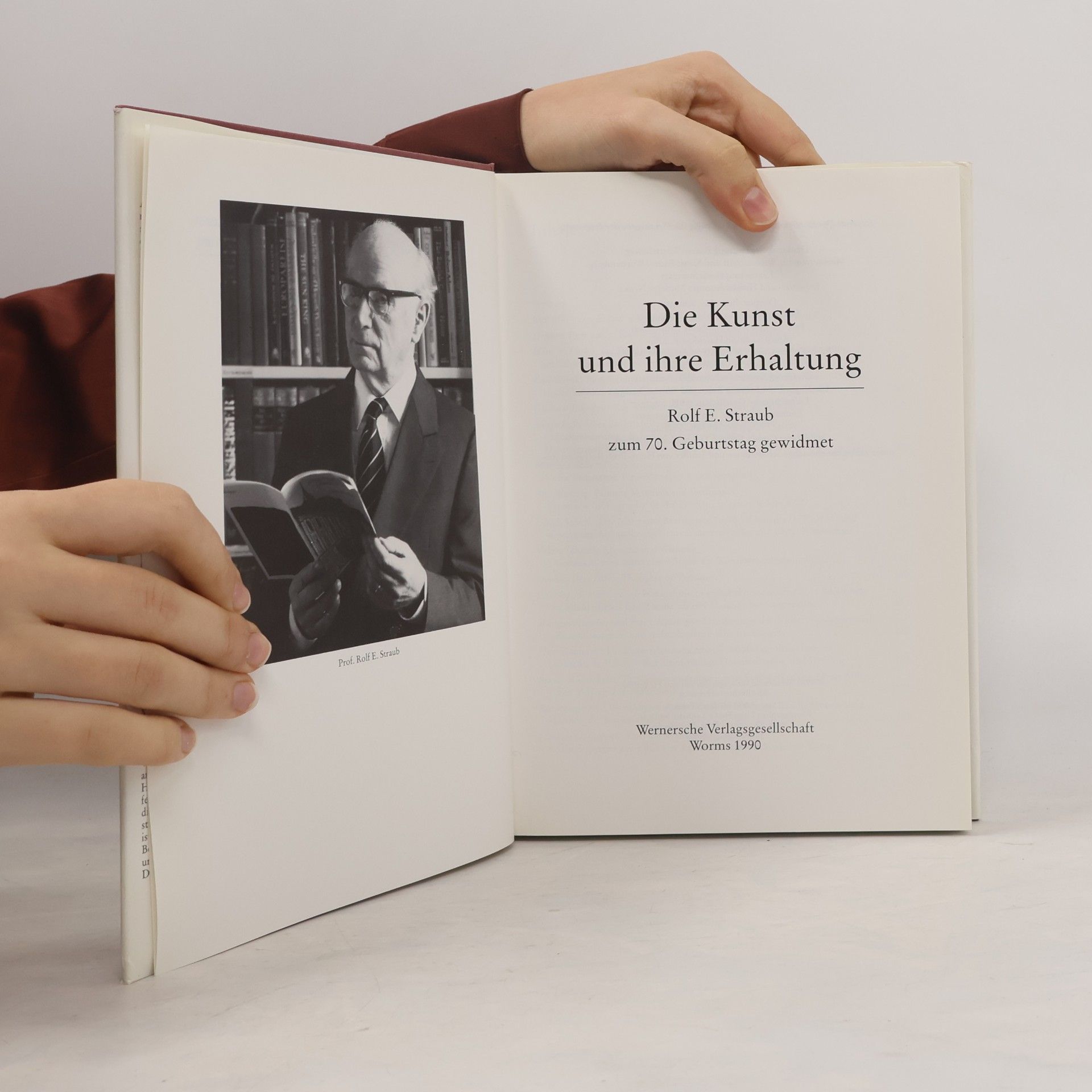 Rolf E. Straub Die Kunst und ihre Erhaltung