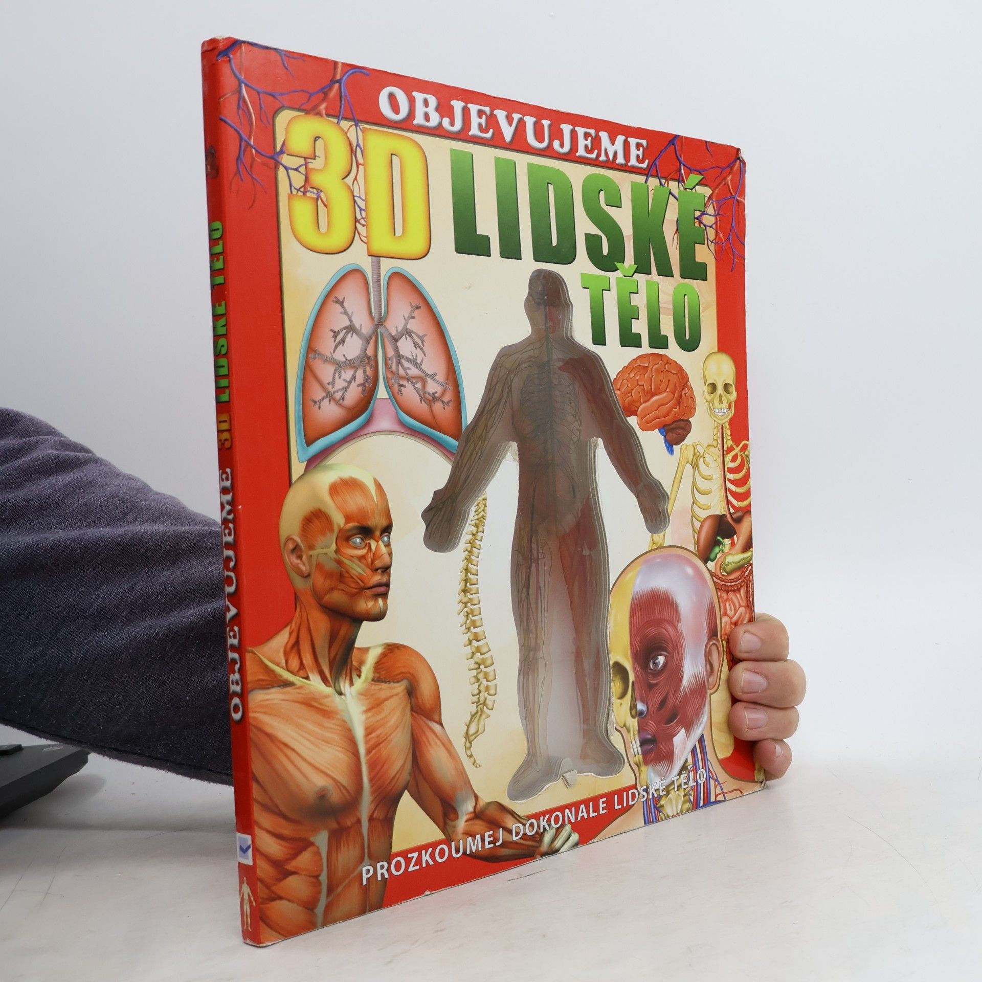 3D lidské tělo