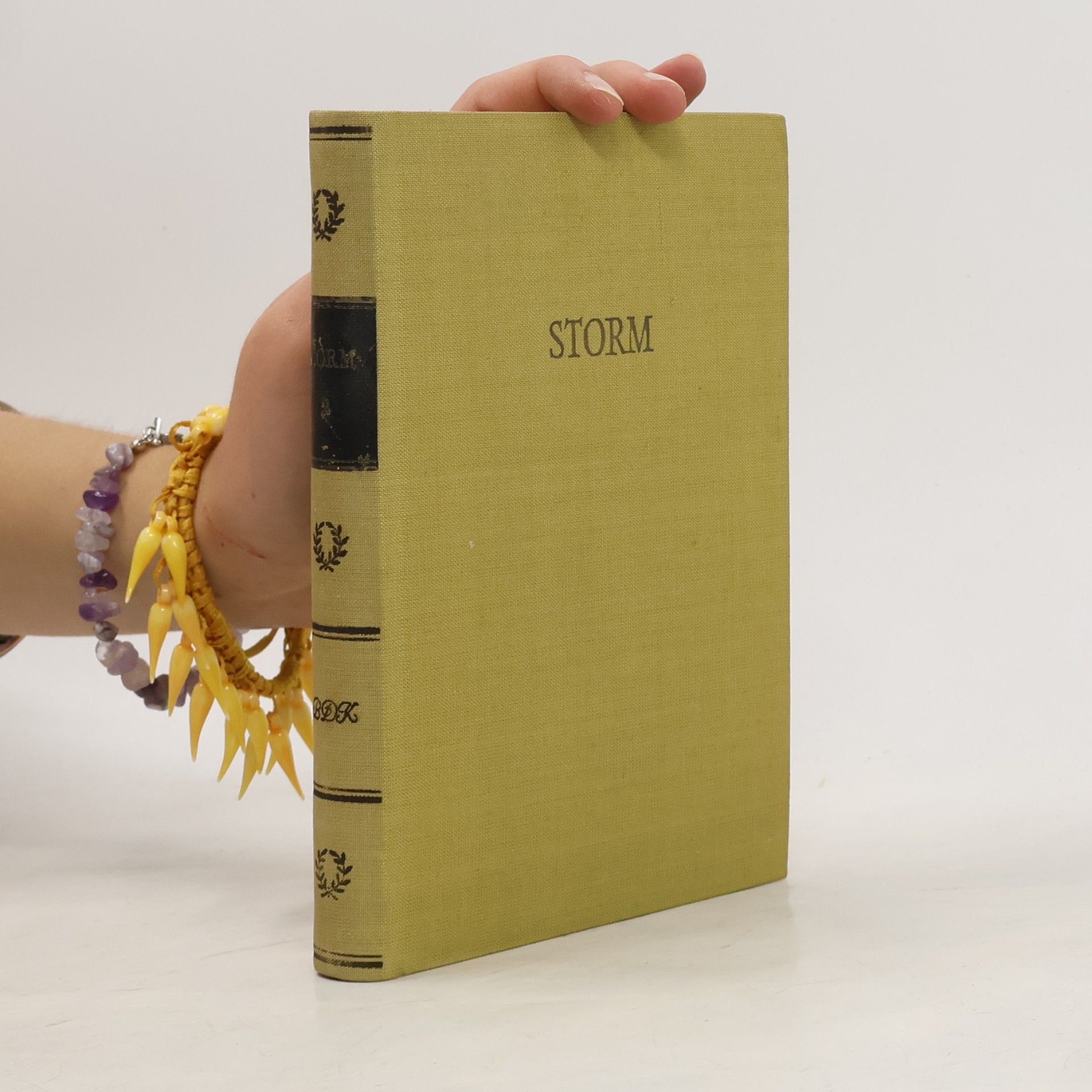 Autorenkollektiv Storms Werke, Band 2