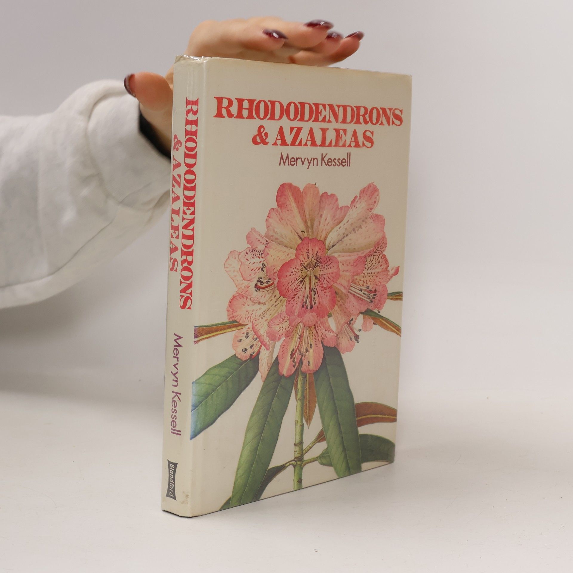 Rhododendrons and Azaleas