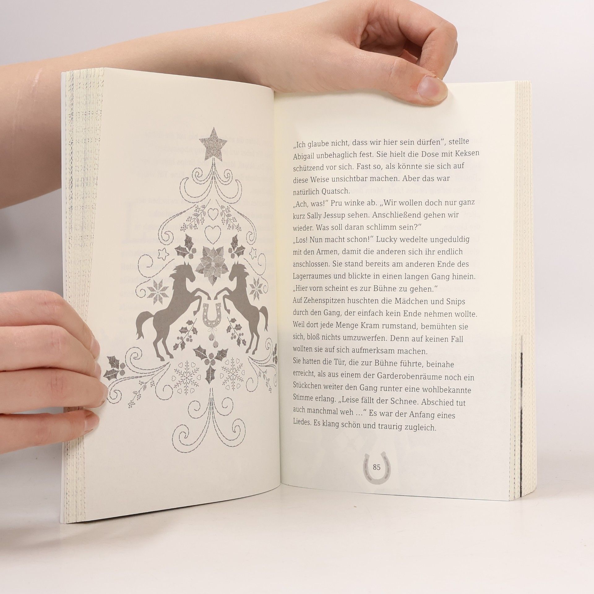 Autores varios Dreamworks Spirit Wild und Frei. Adventskalender