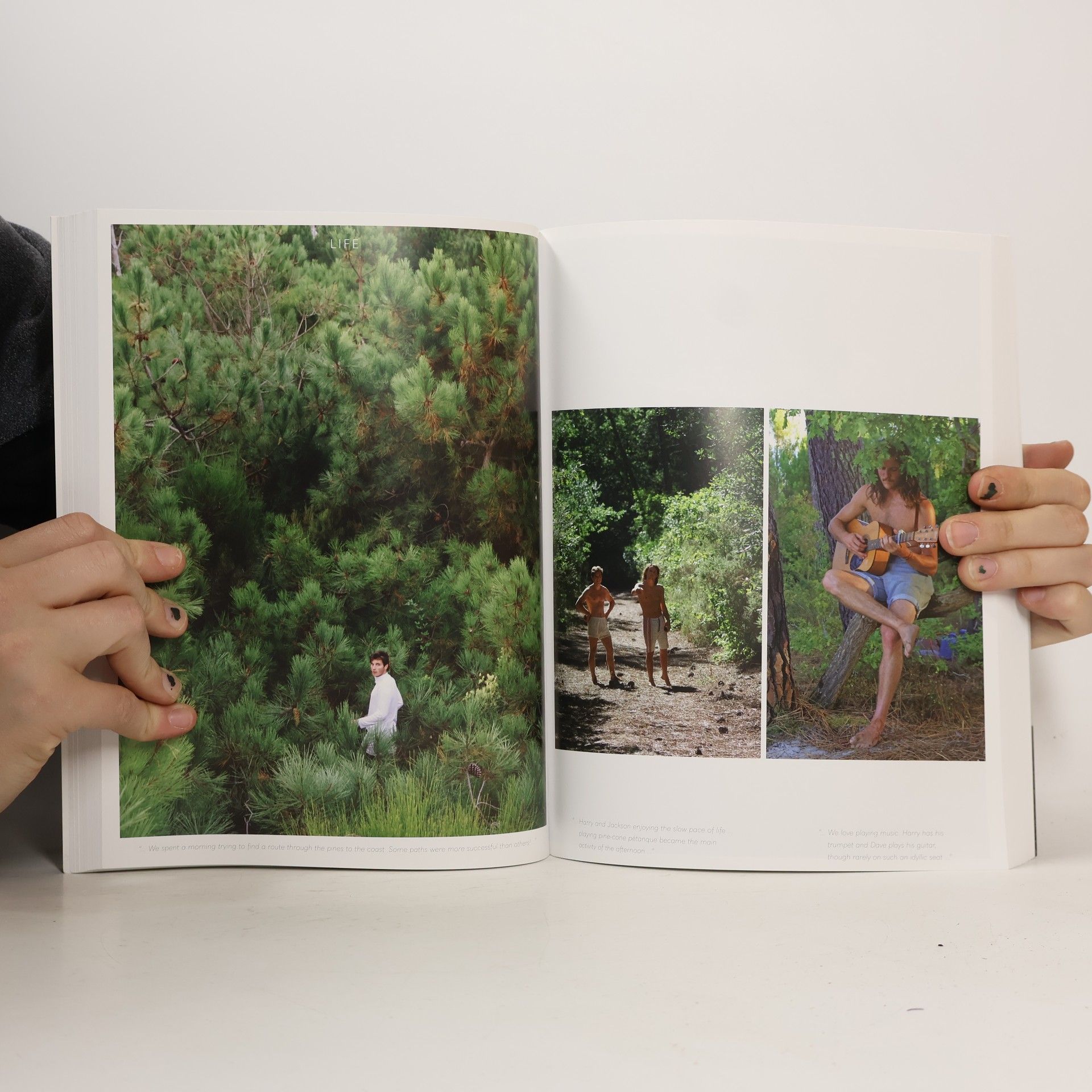 Harry Rich Love Your Plot : Gardens Inspired by Nature