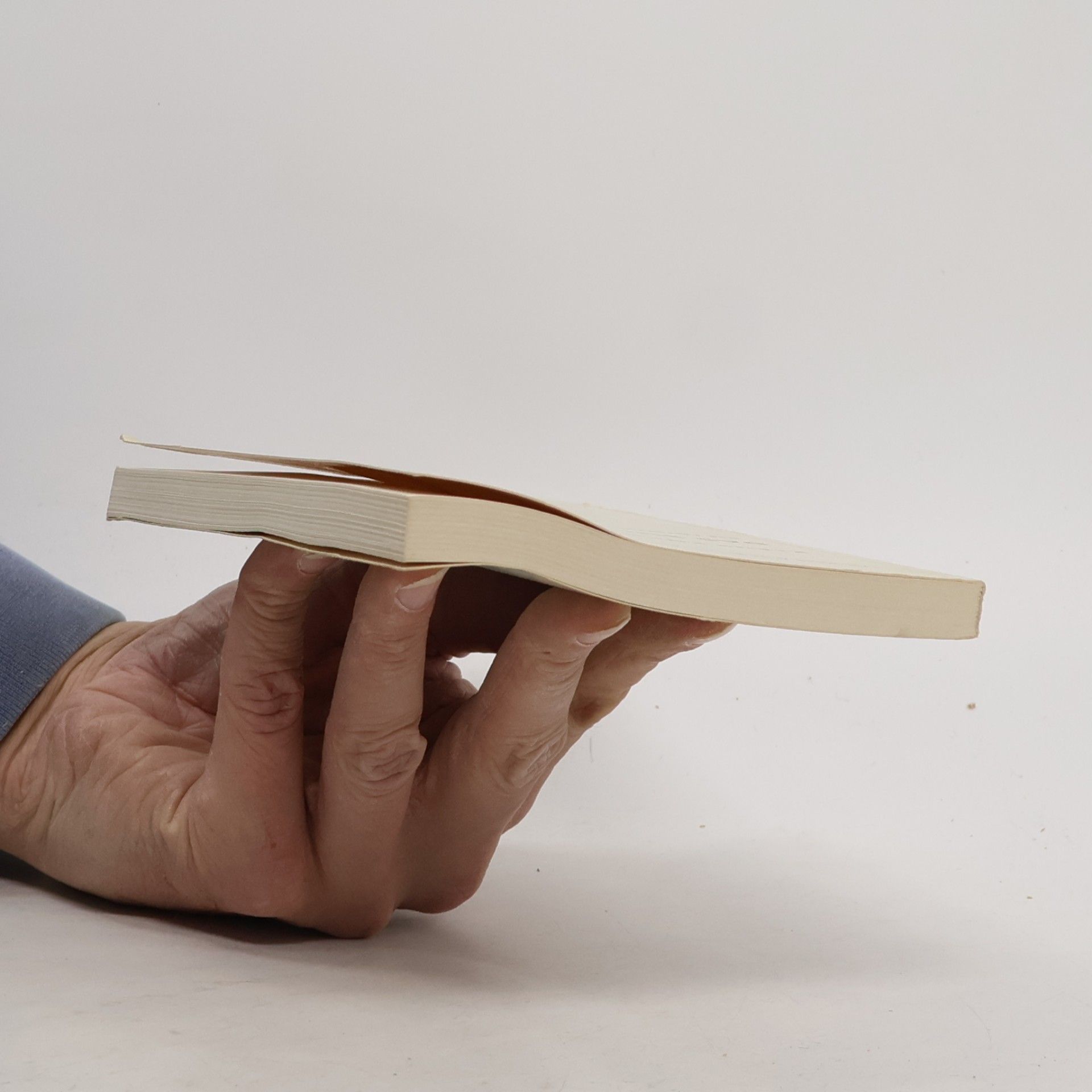 Klaus Koch Das Buch der Bücher