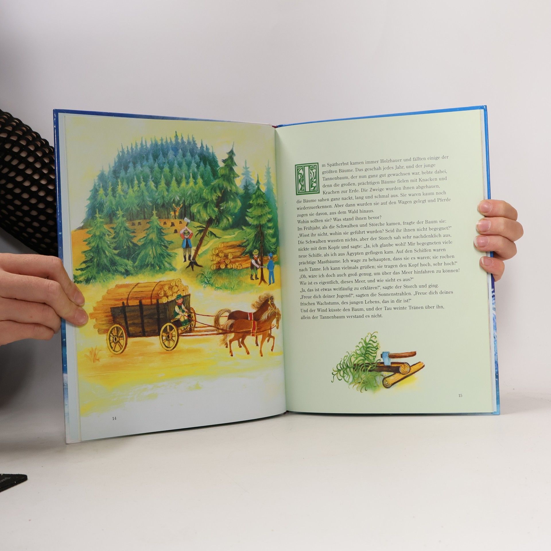 Hans-Christian Andersen Märchenklassiker zur Weihnachtszeit