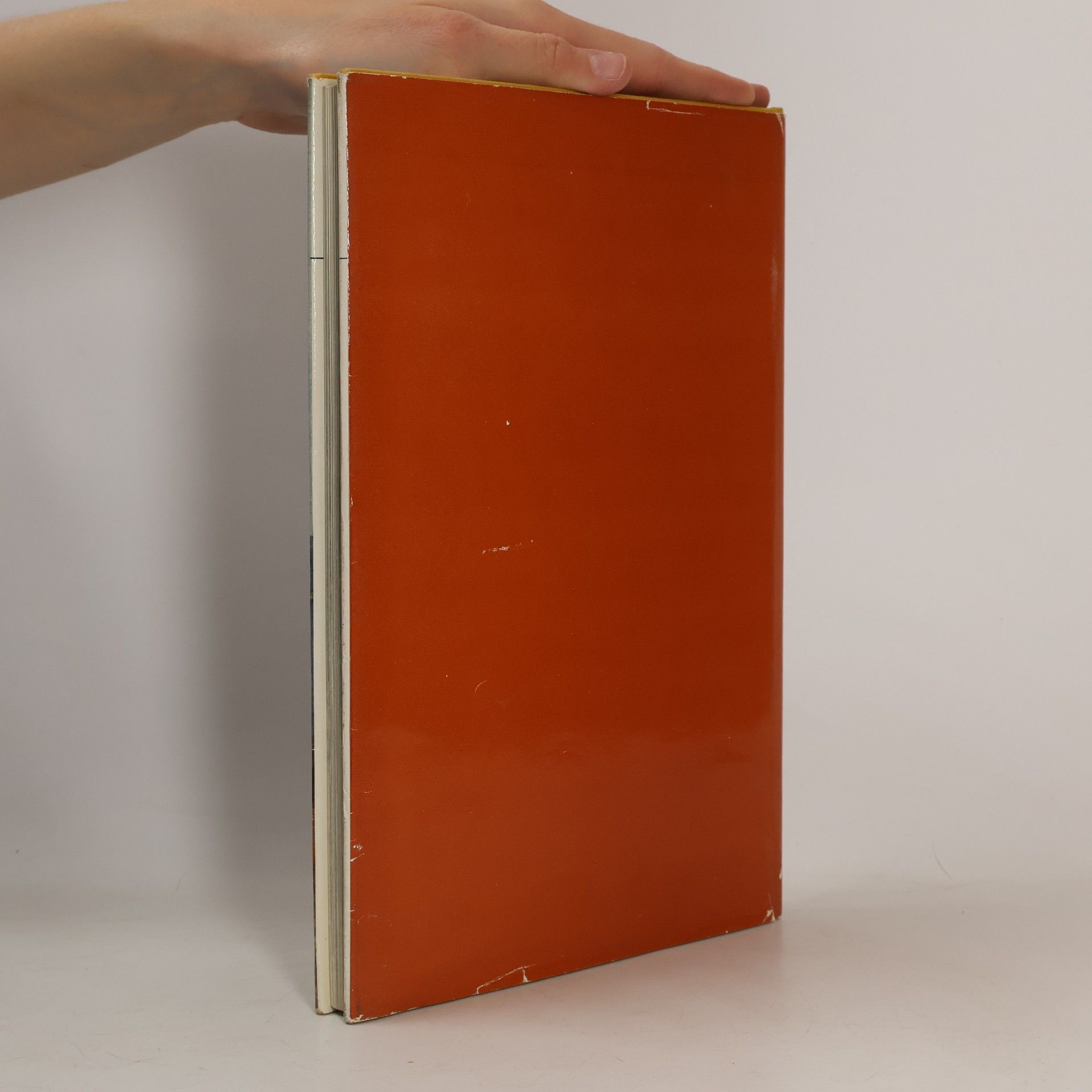 kolektiv Dalmatien Buch