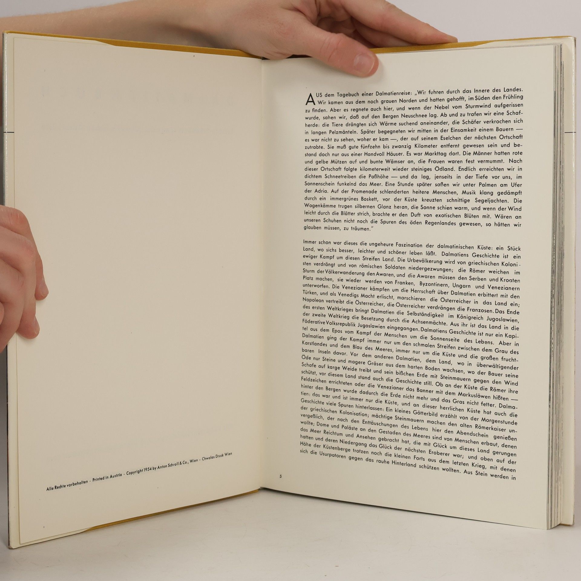 kolektiv Dalmatien Buch