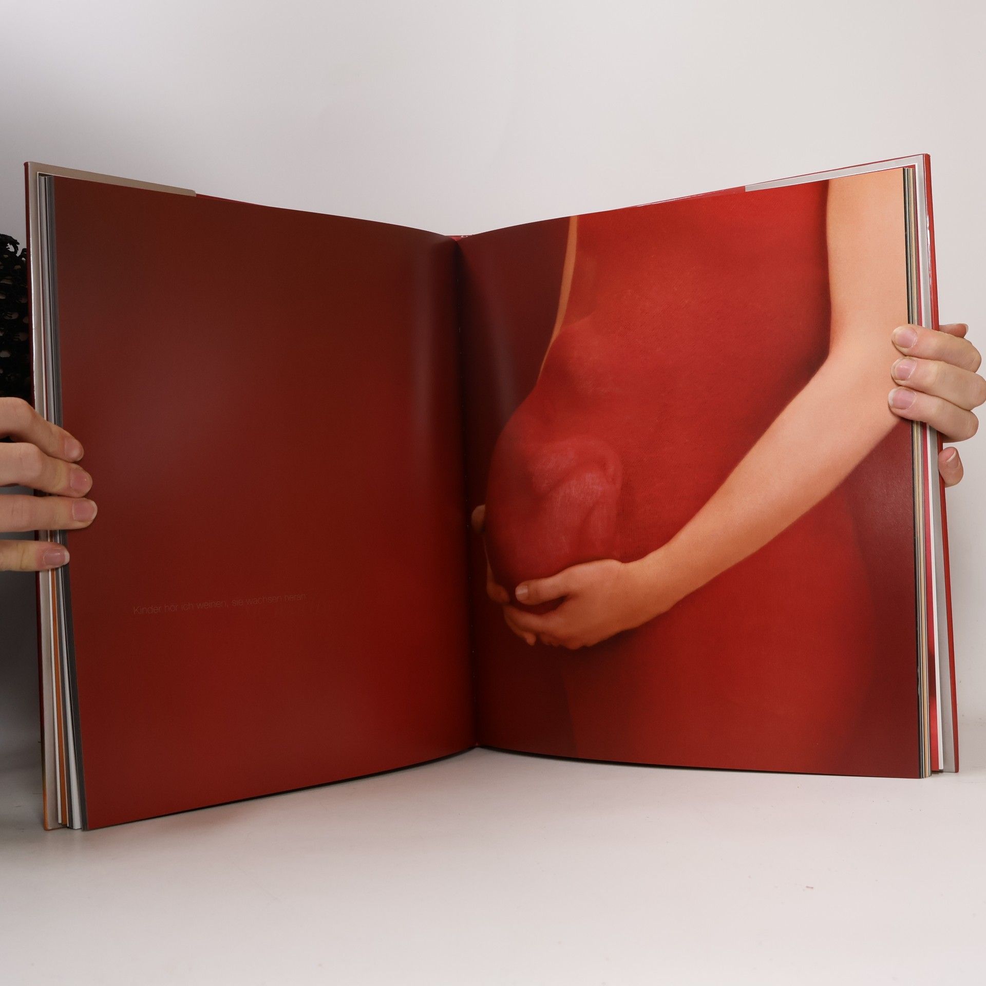 Anne Geddes Miracle : Das Wunder des Lebens