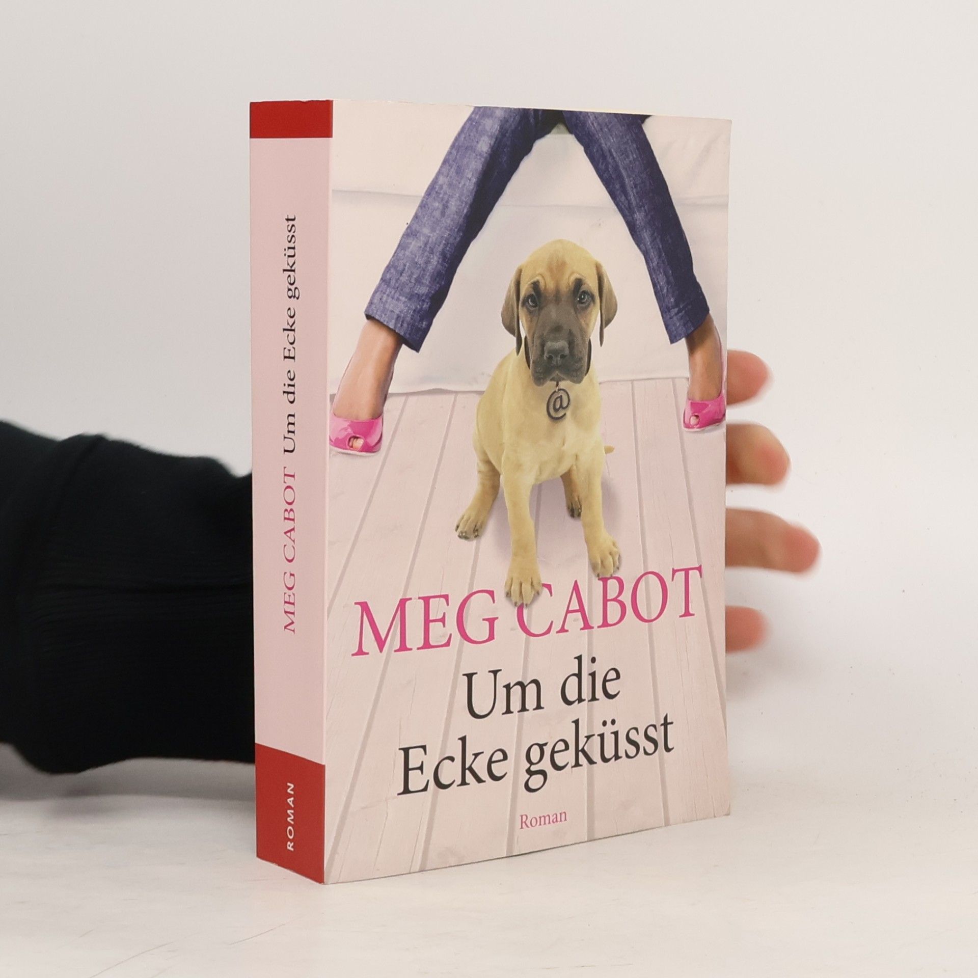Meg Cabot Um die Ecke geküsst