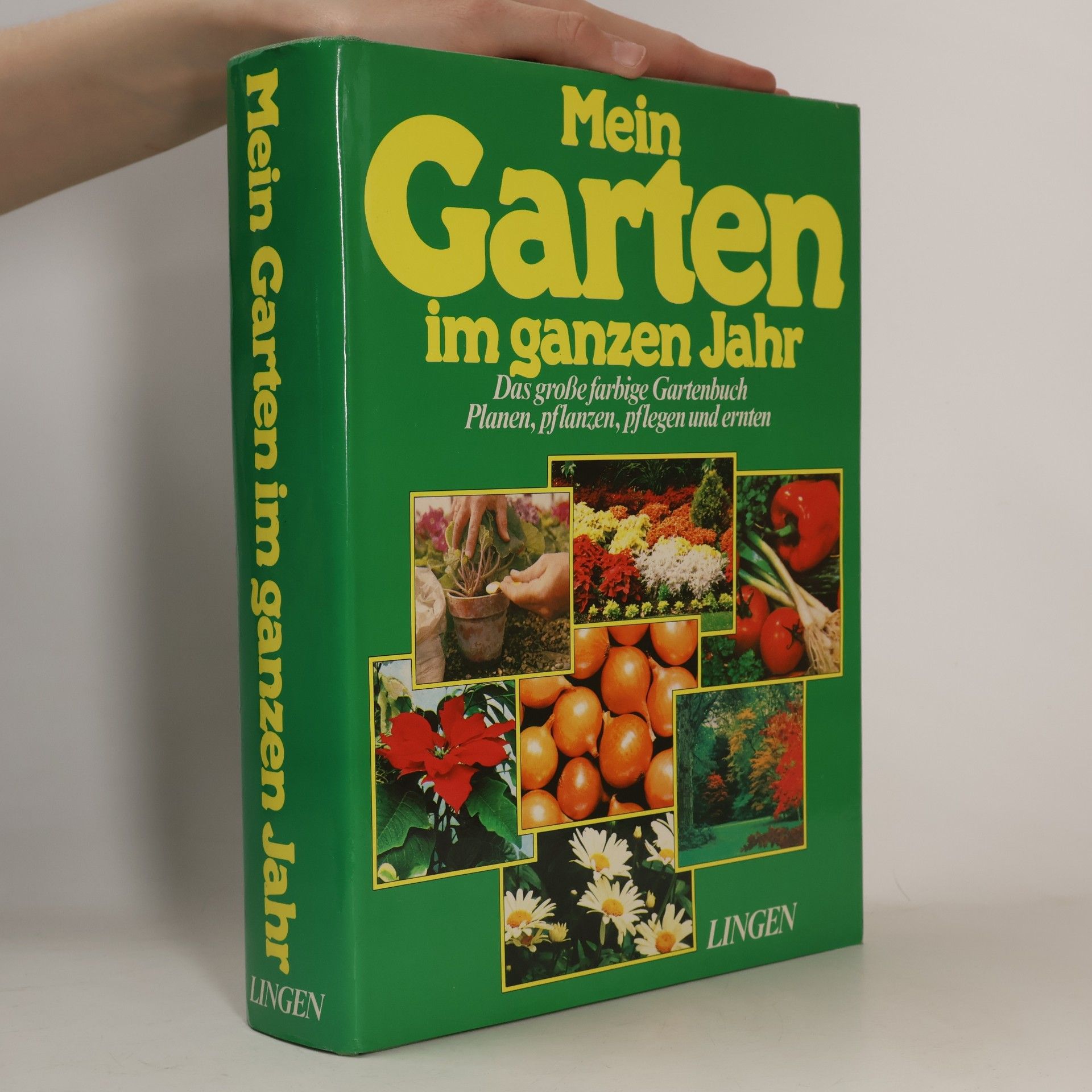 Kolektiv autorů Mein Garten im ganzen Jahr