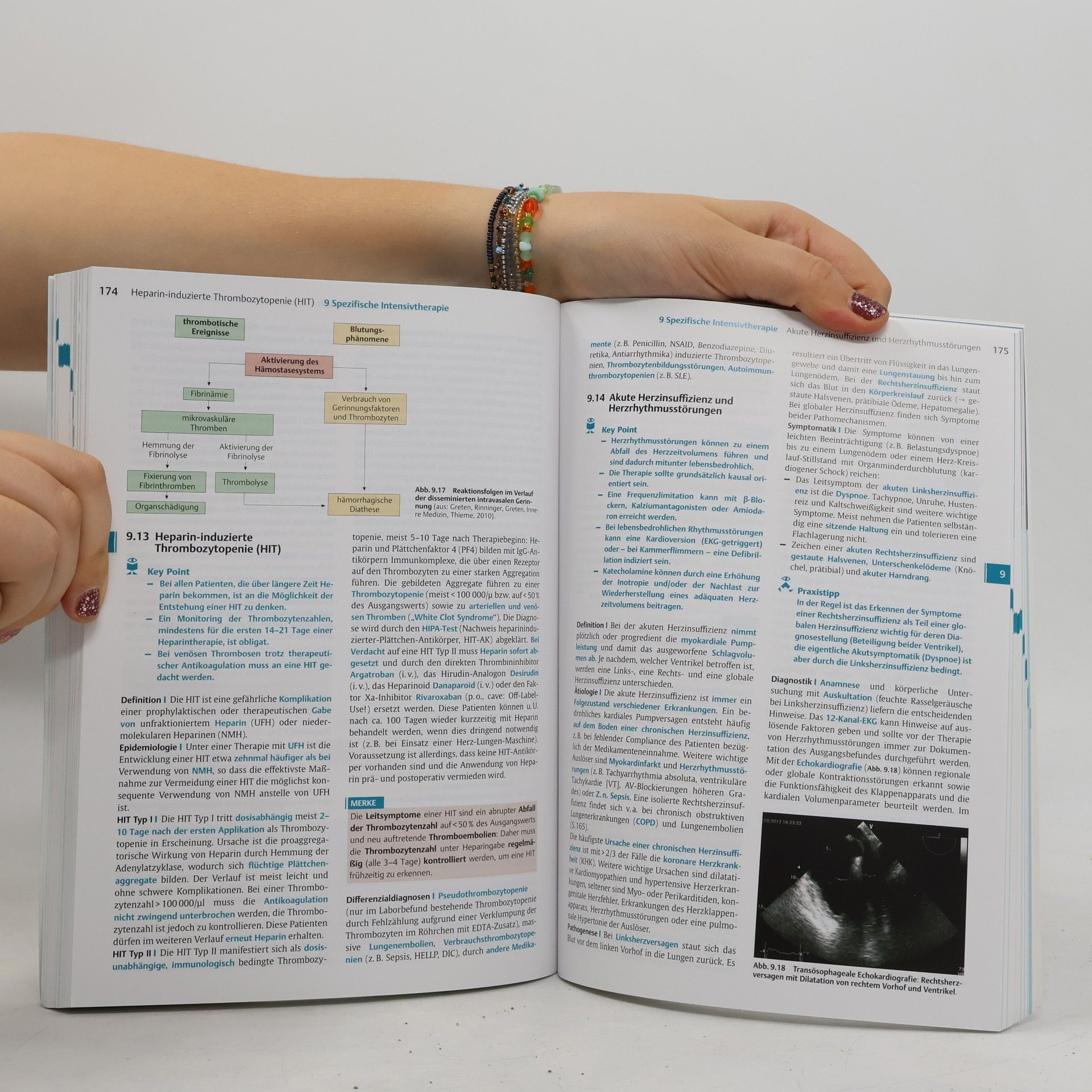 Wolfgang A. Wetsch Kurzlehrbuch Anästhesie, Intensivmedizin, Nofallmedizin und Schmerztherapie