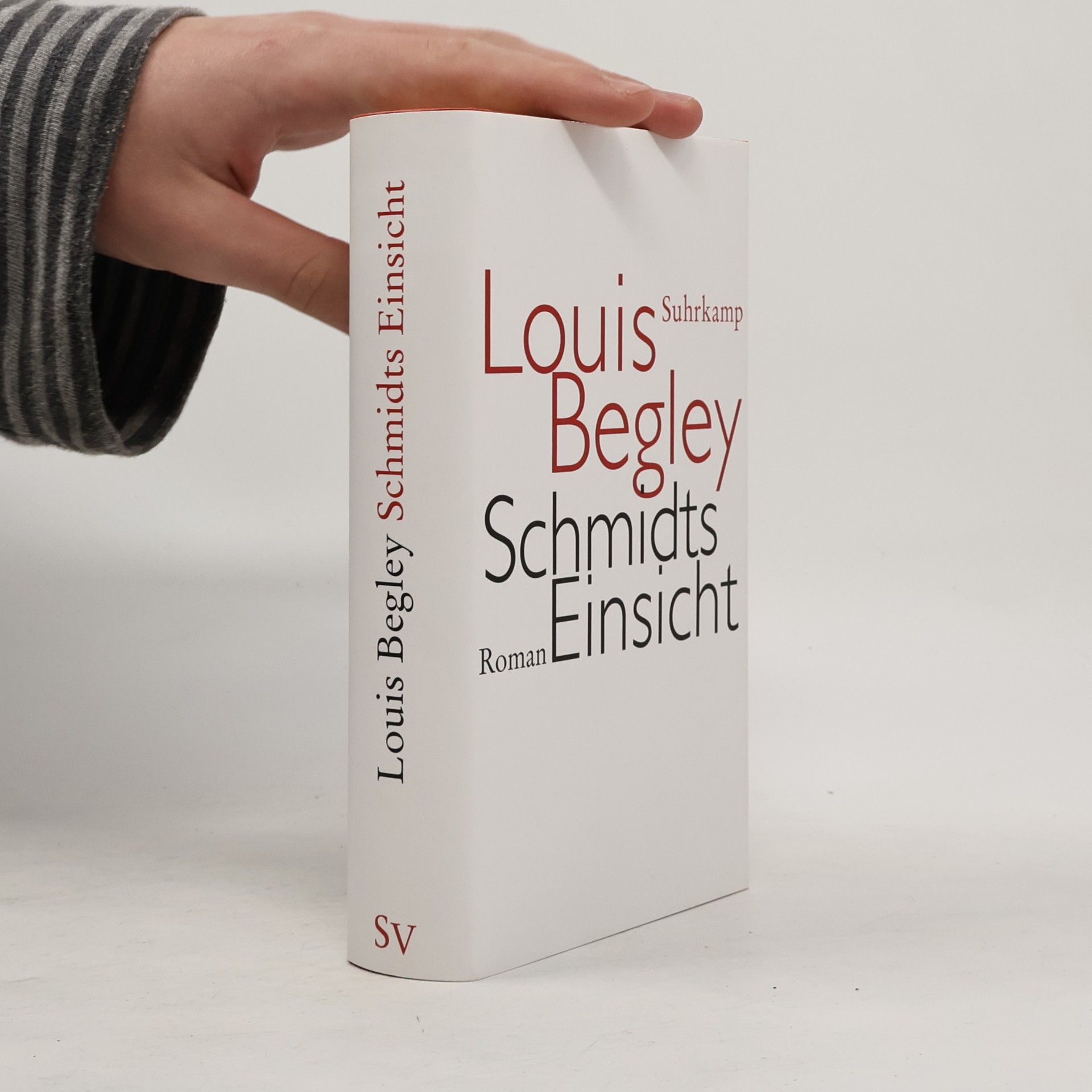 Schmidts Einsicht