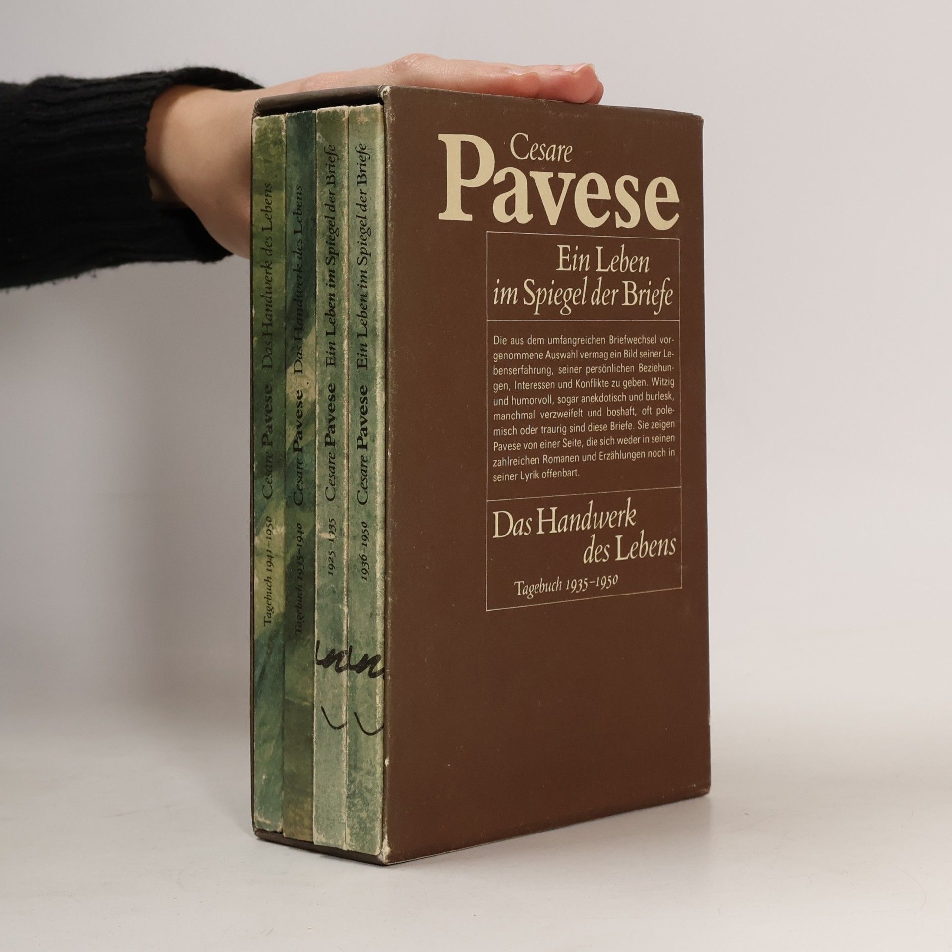 Ein Leben im Spiegel der Briefe