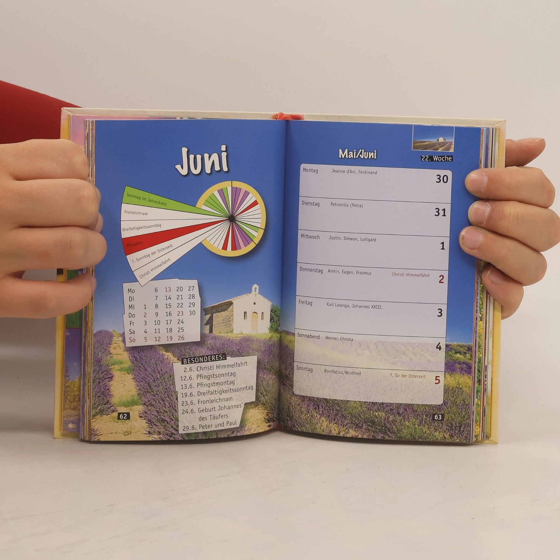 Mini 2011: Der Taschenkalender zum Kirchenjahr für Ministranten und junge Christen