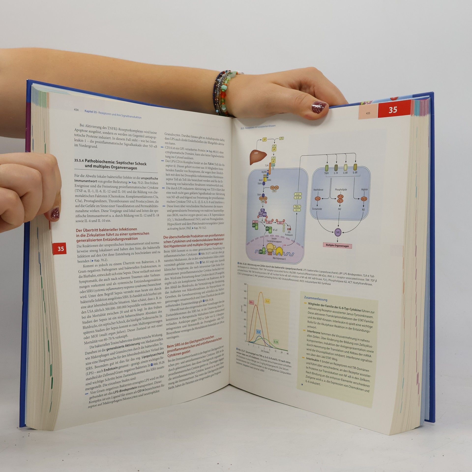Peter C. Heinrich Springer-Lehrbuch: Löffler-Petrides Biochemie und Pathobiochemie