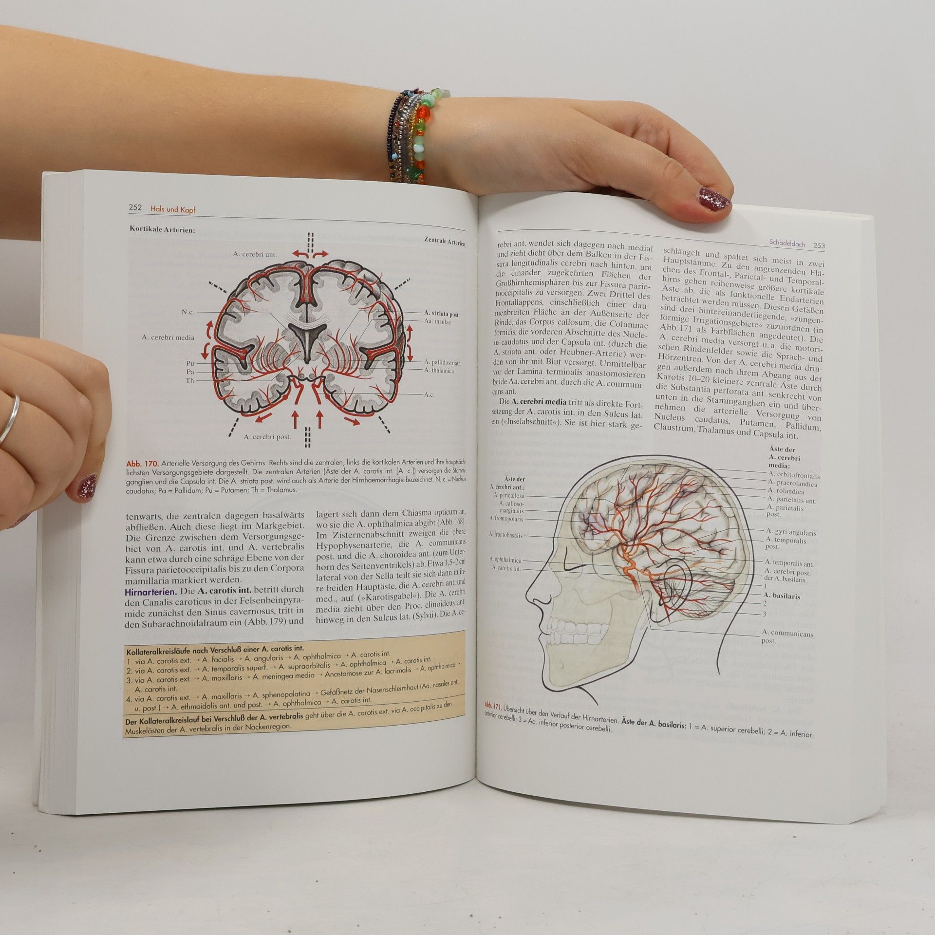 Johannes W. Rohen Topographische Anatomie