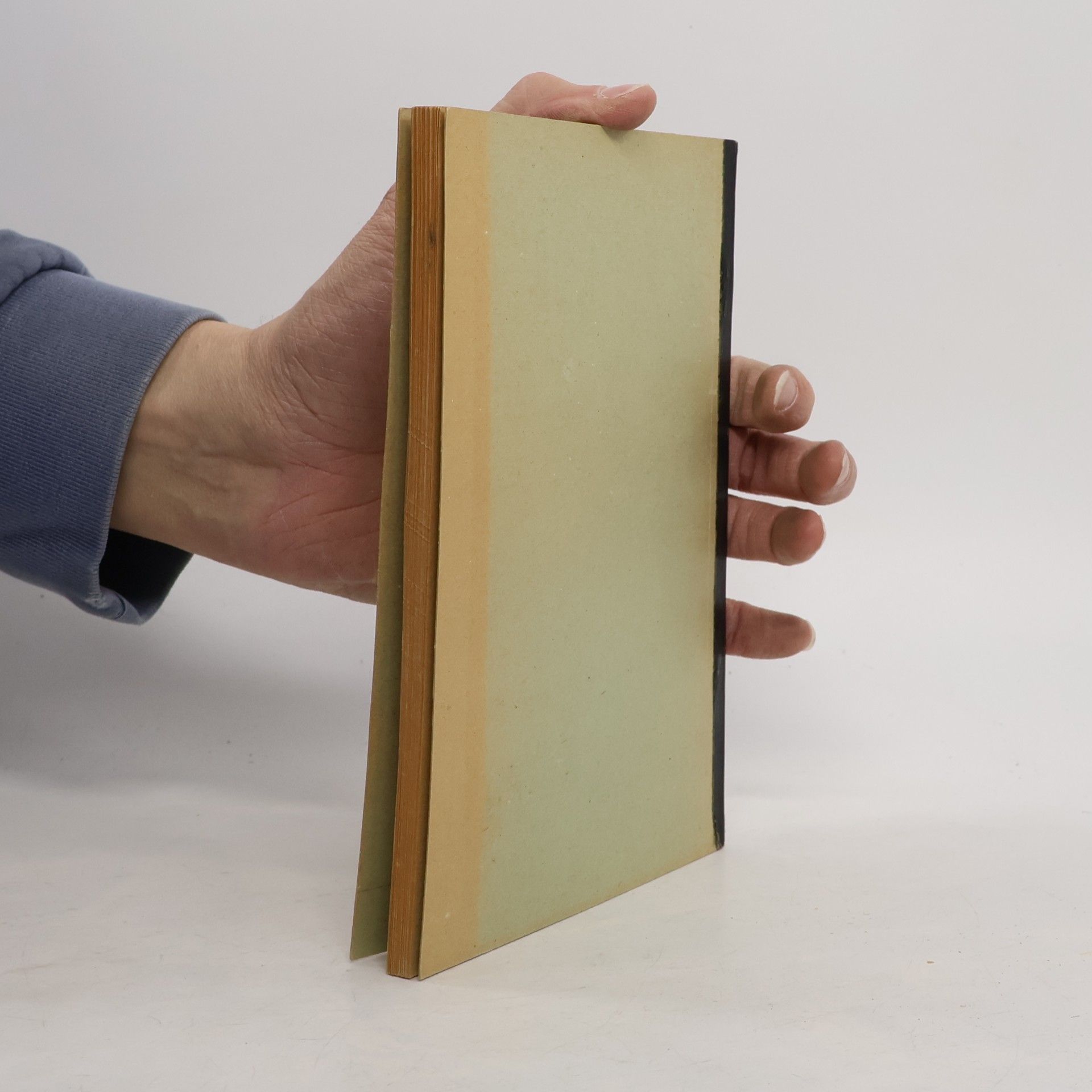 Various authors Lateinische Wortkunde