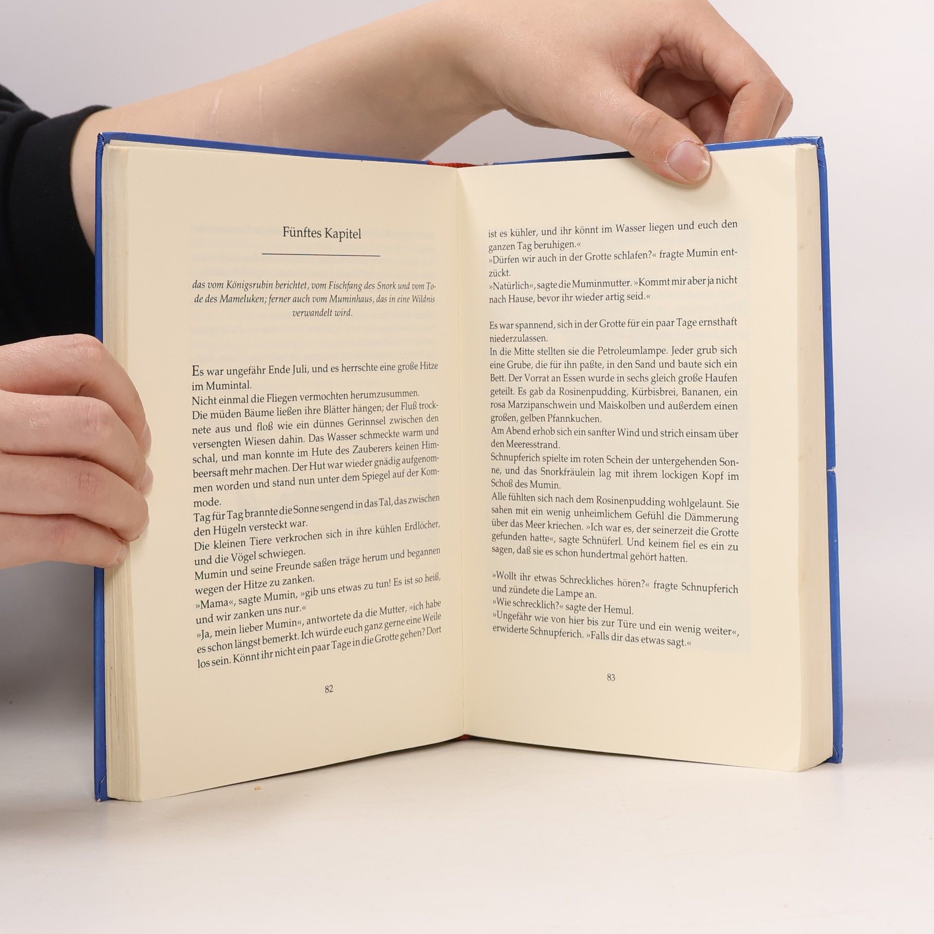 Tove Jansson Das grosse Muminbuch