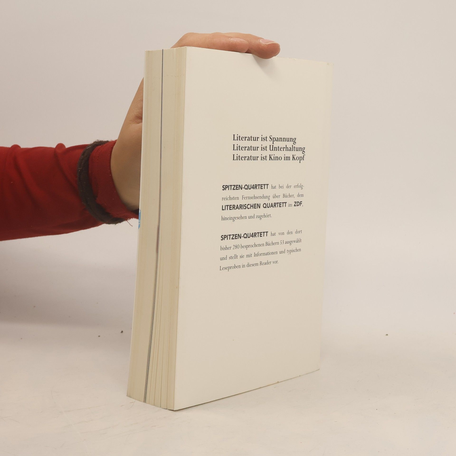 Kolektiv autorů Spitzen-Quartett. 53 Anregungen für literarische Ferien