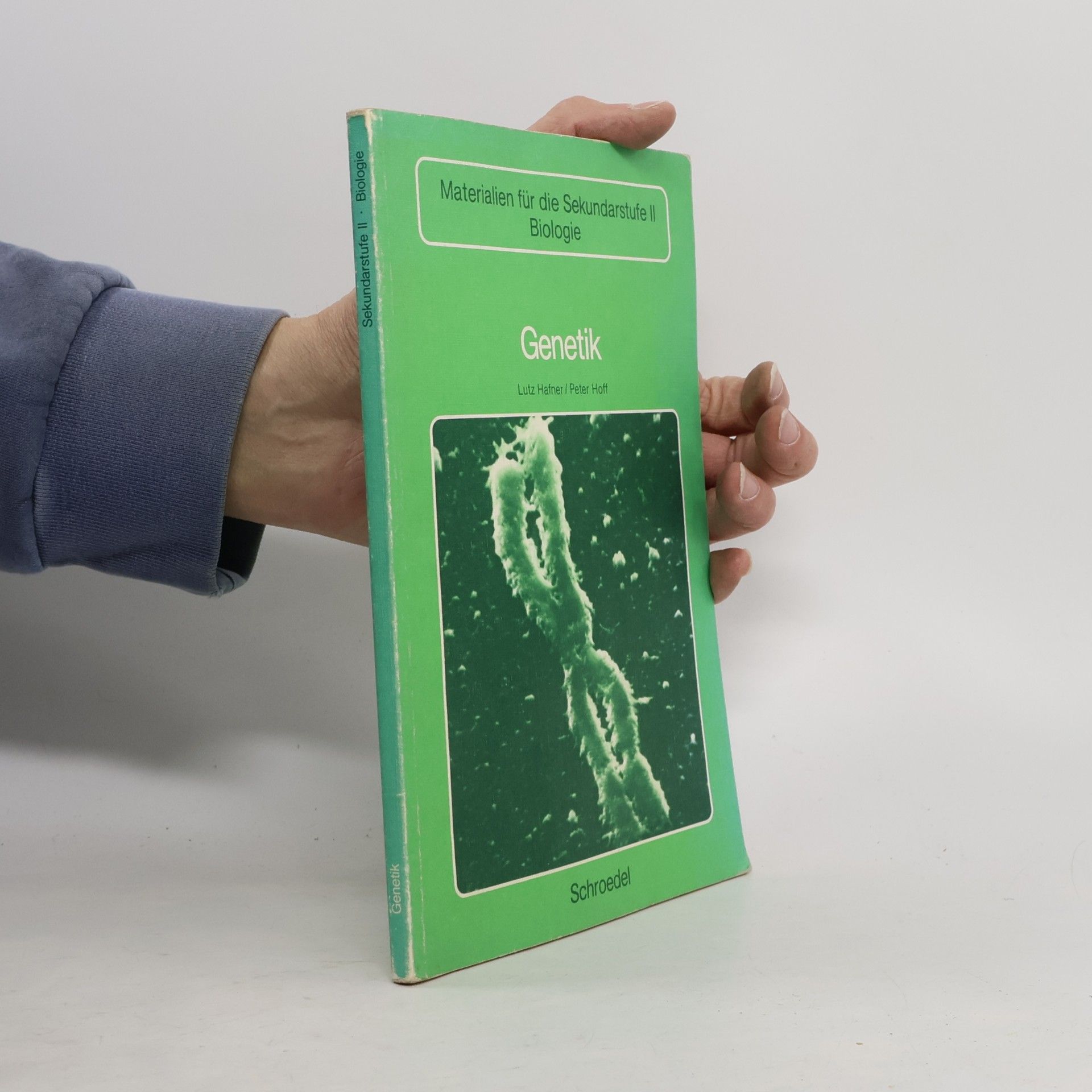Autorenkollektiv Biologie heute entdecken 12/13