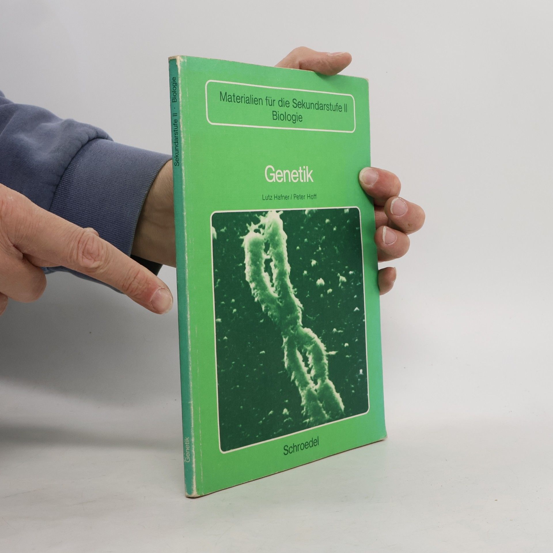 Autorenkollektiv Biologie heute entdecken 12/13