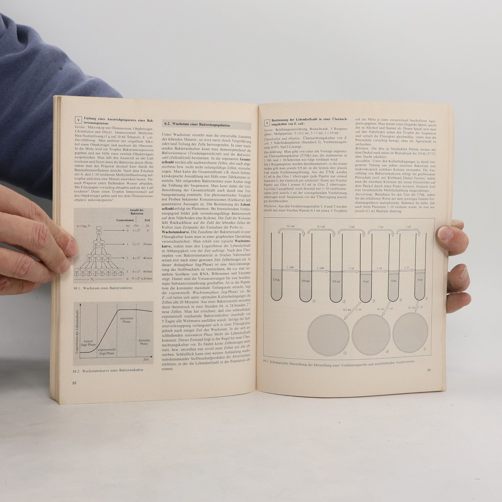 Autorenkollektiv Biologie heute entdecken 12/13